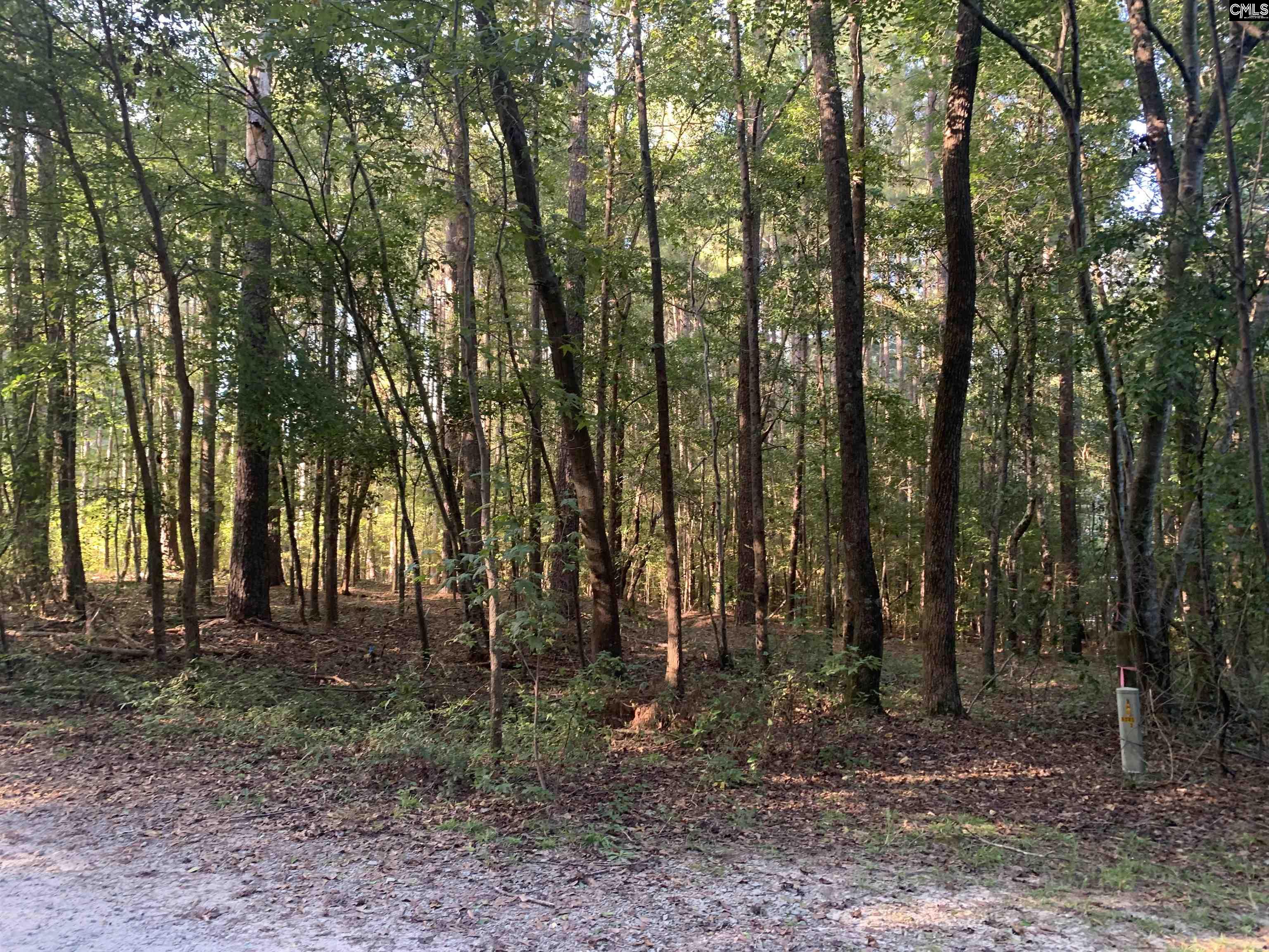 Gilbert SC Real Estate 129 New Village Road Unit 4 Gilbert SC 29054