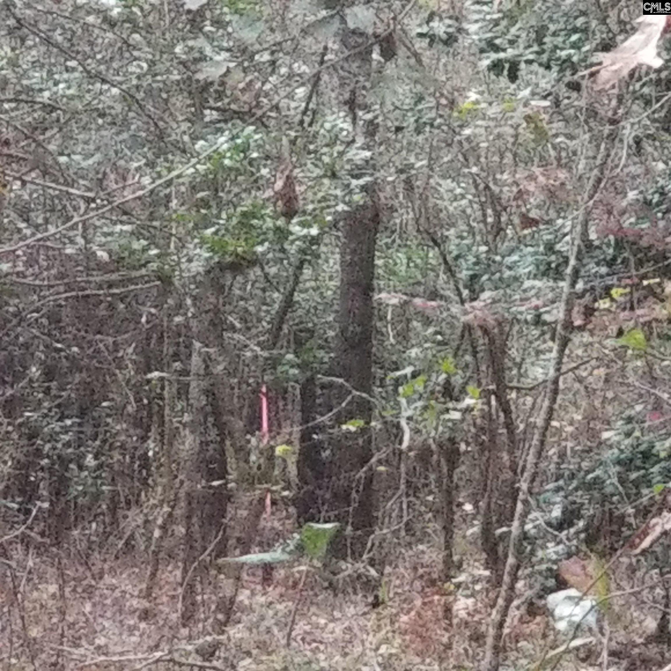 Parrish Road Batesburg, SC 29006
