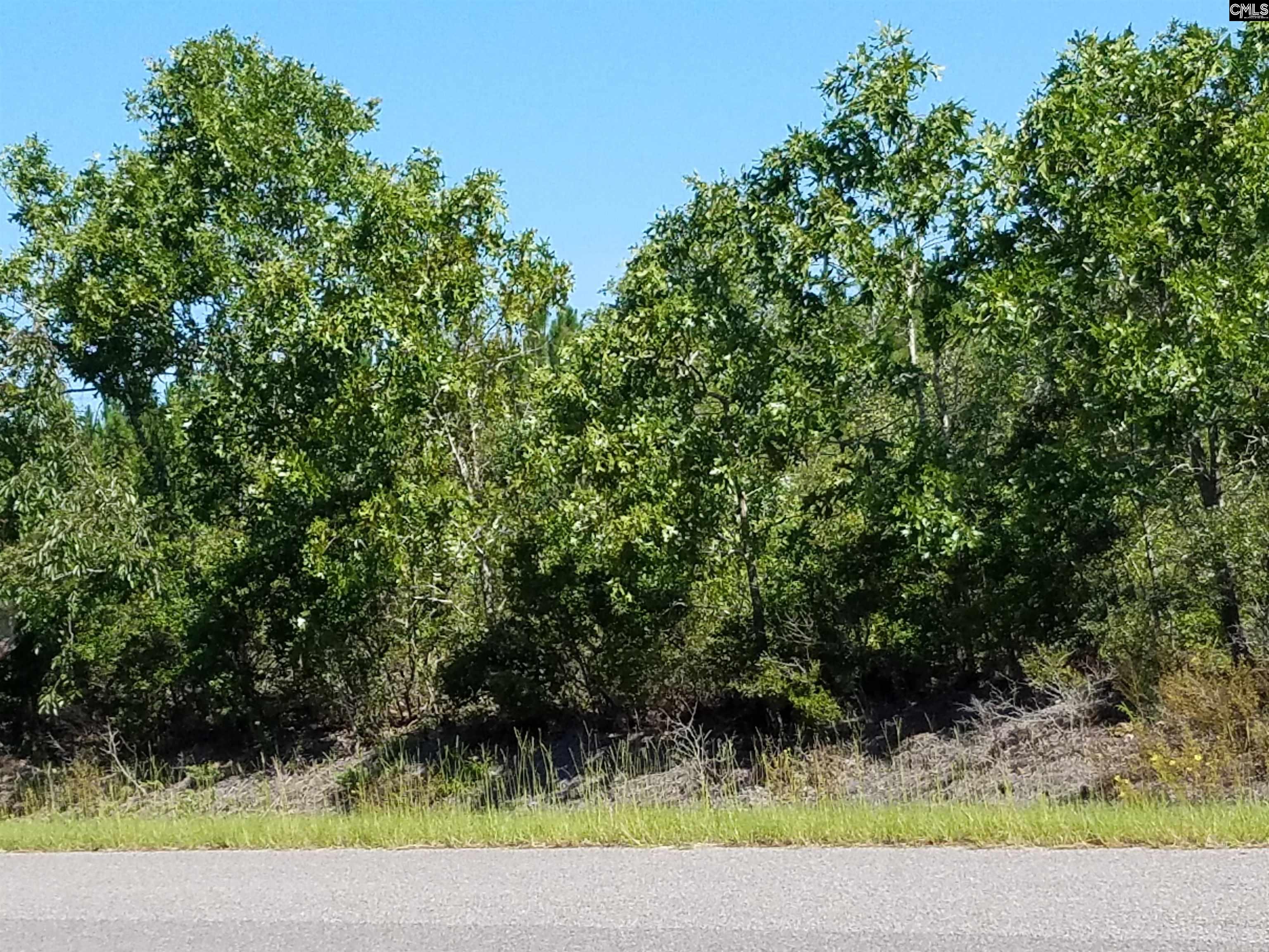 Old Chalk Bed Road Unit #3 Batesburg, SC 29006
