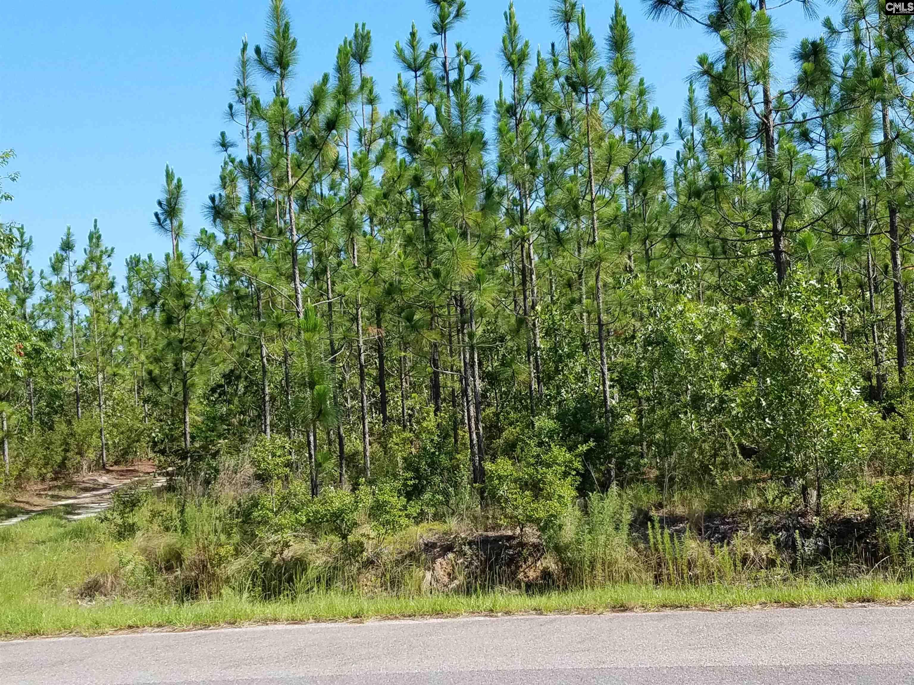 Old Chalk Bed Road Unit #5 Batesburg, SC 29006