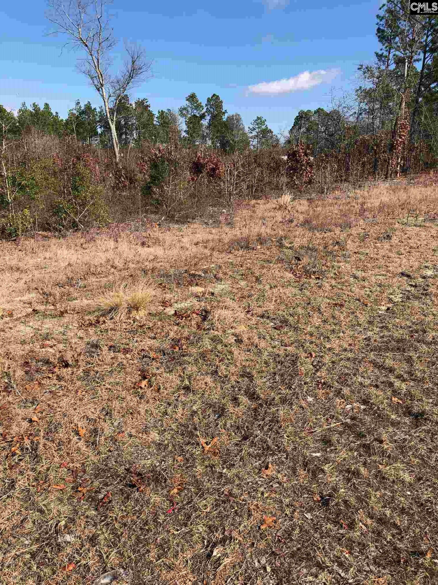 728 Bush Berry Road Unit #150 Pelion, SC 29123
