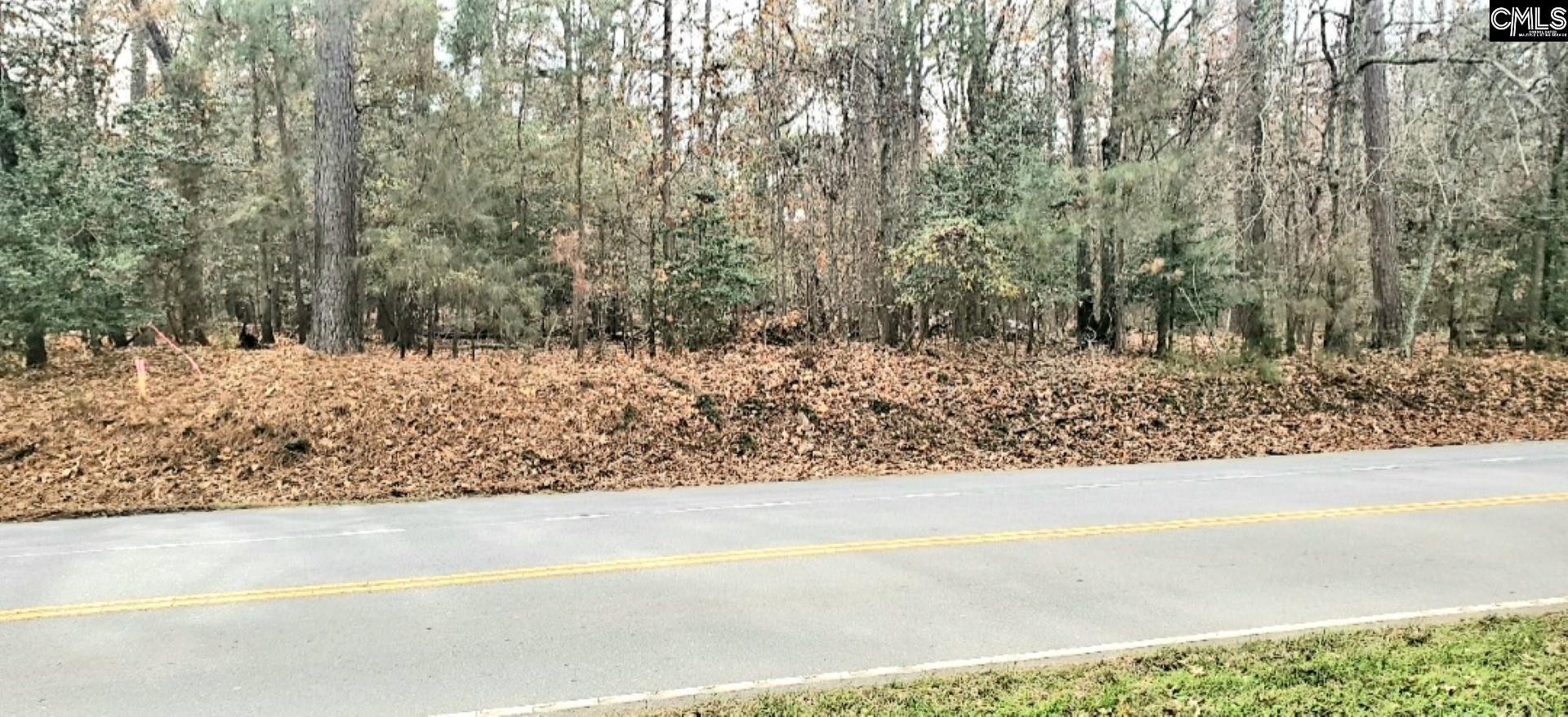 1679 Amicks Ferry Road Unit 2 And 3 Chapin, SC 29036