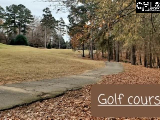520 Wateroak Trail Unit #5 Chapin, SC 29036
