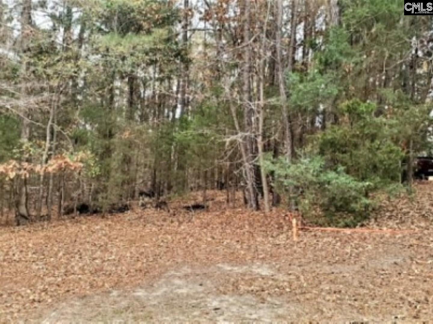 557 Wateroak Trail Unit Lot 8 Chapin, SC 29036