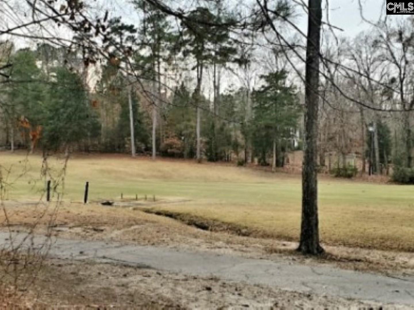 555 Wateroak Trail Unit Lot 9 Chapin, SC 29036