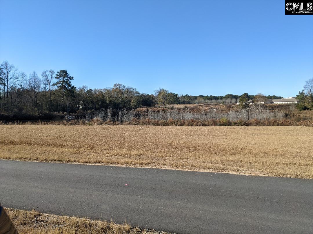1321-10 Old Cherokee Lexington, SC 29072