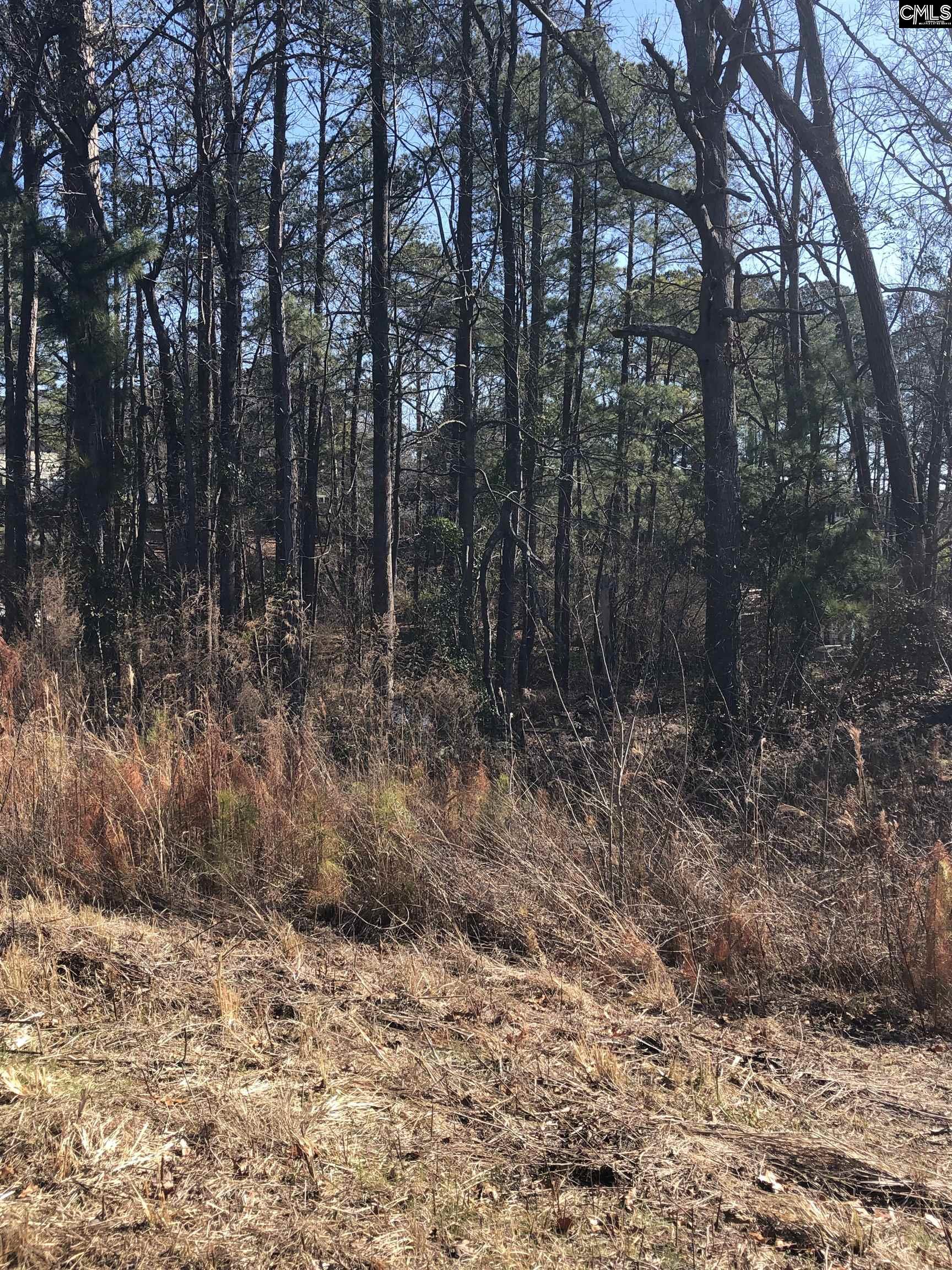463 Saddlebrooke Road Unit N/73 Lexington, SC 29072