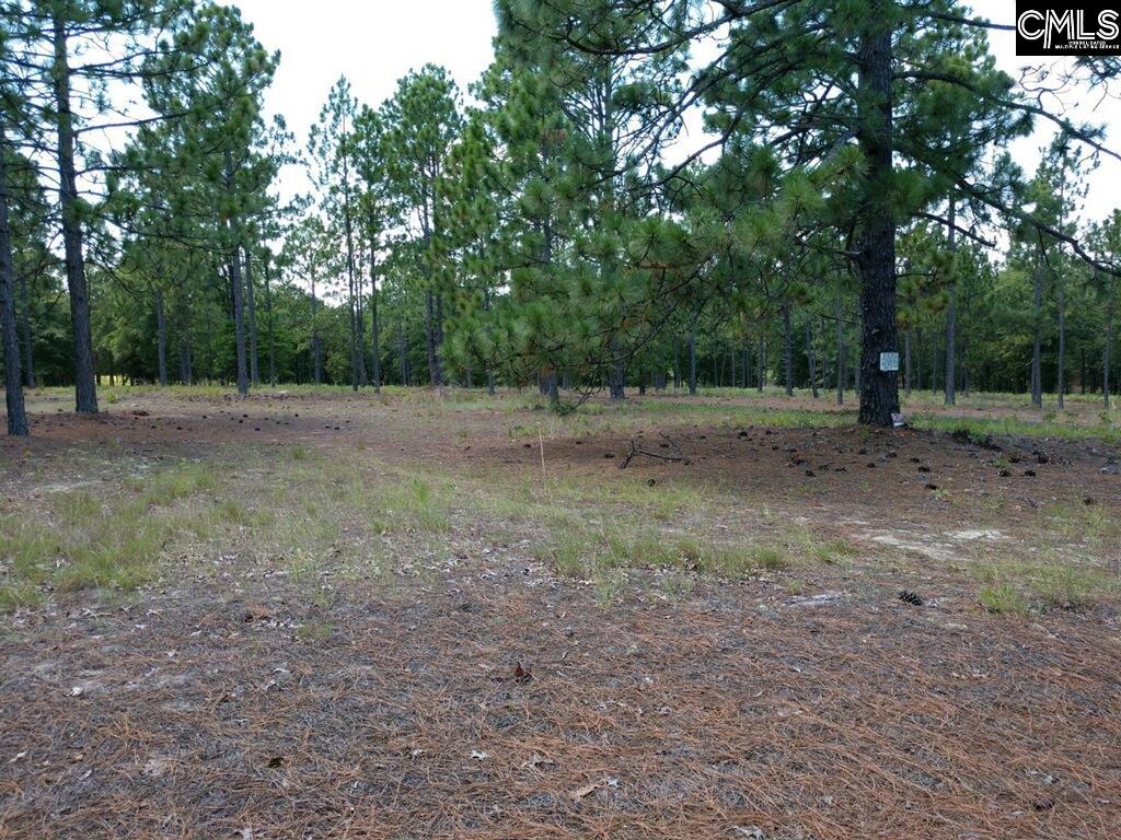 Graham Realty Inc. Camden SC, Kershaw County Real Estate