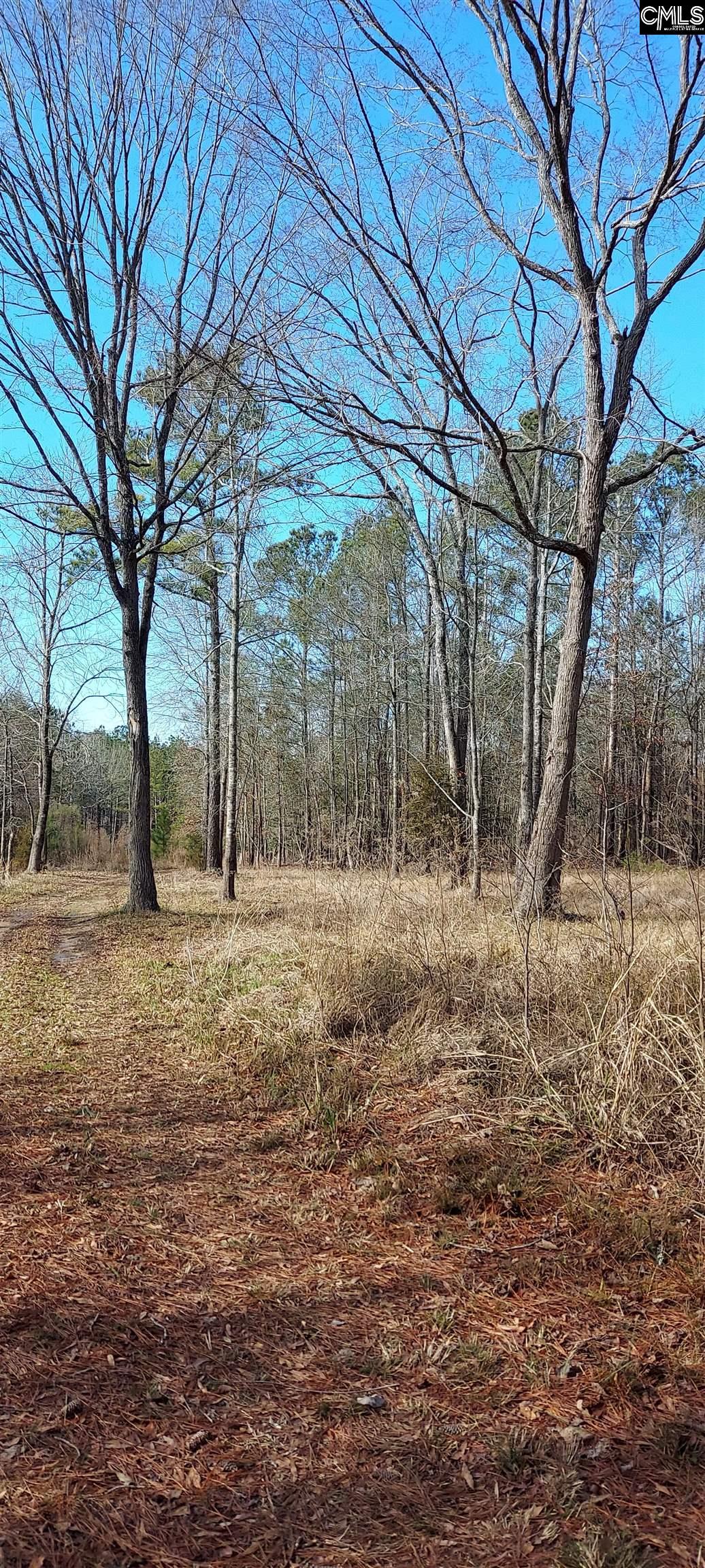 1181 Hollands Landing Prosperity, SC 29127