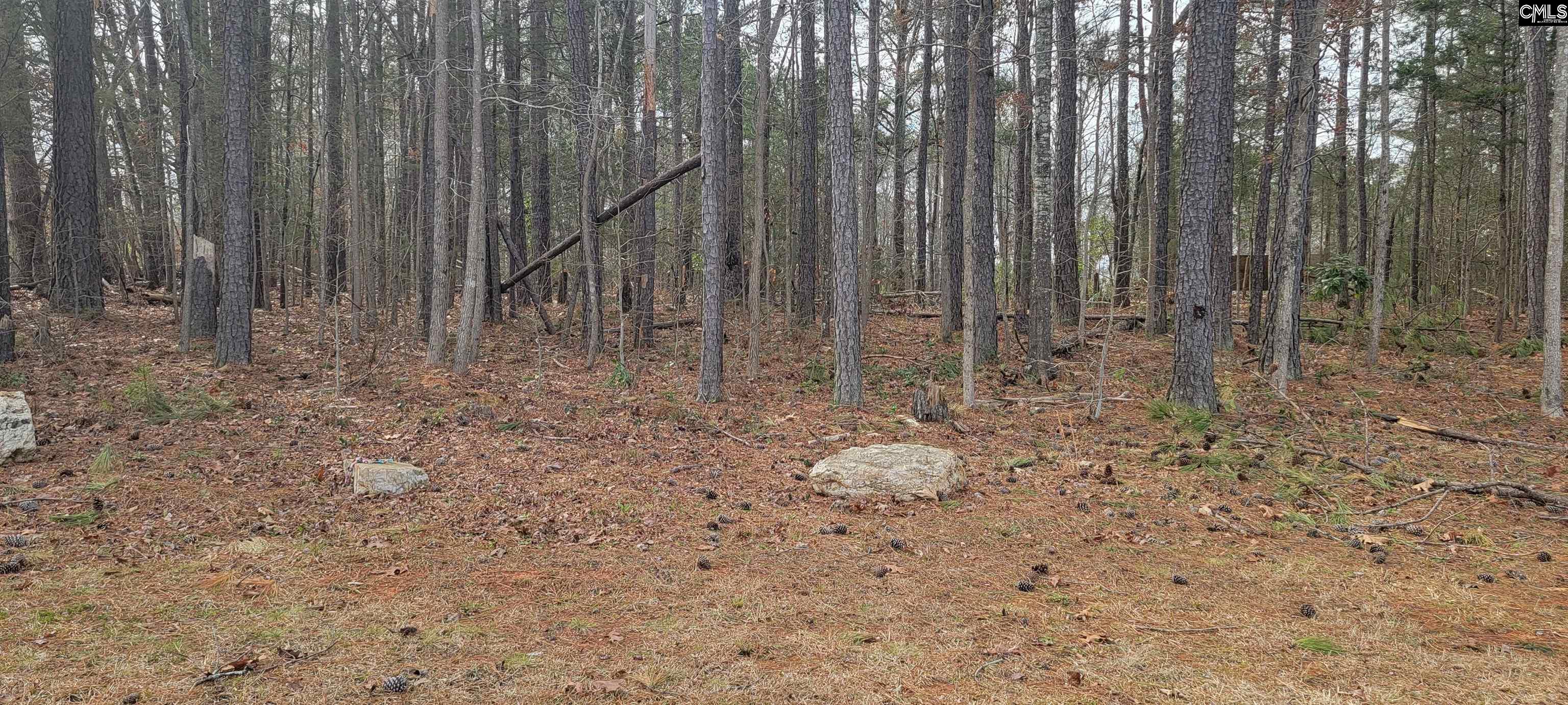2466 & 245 Chapin Road Chapin, SC 29036