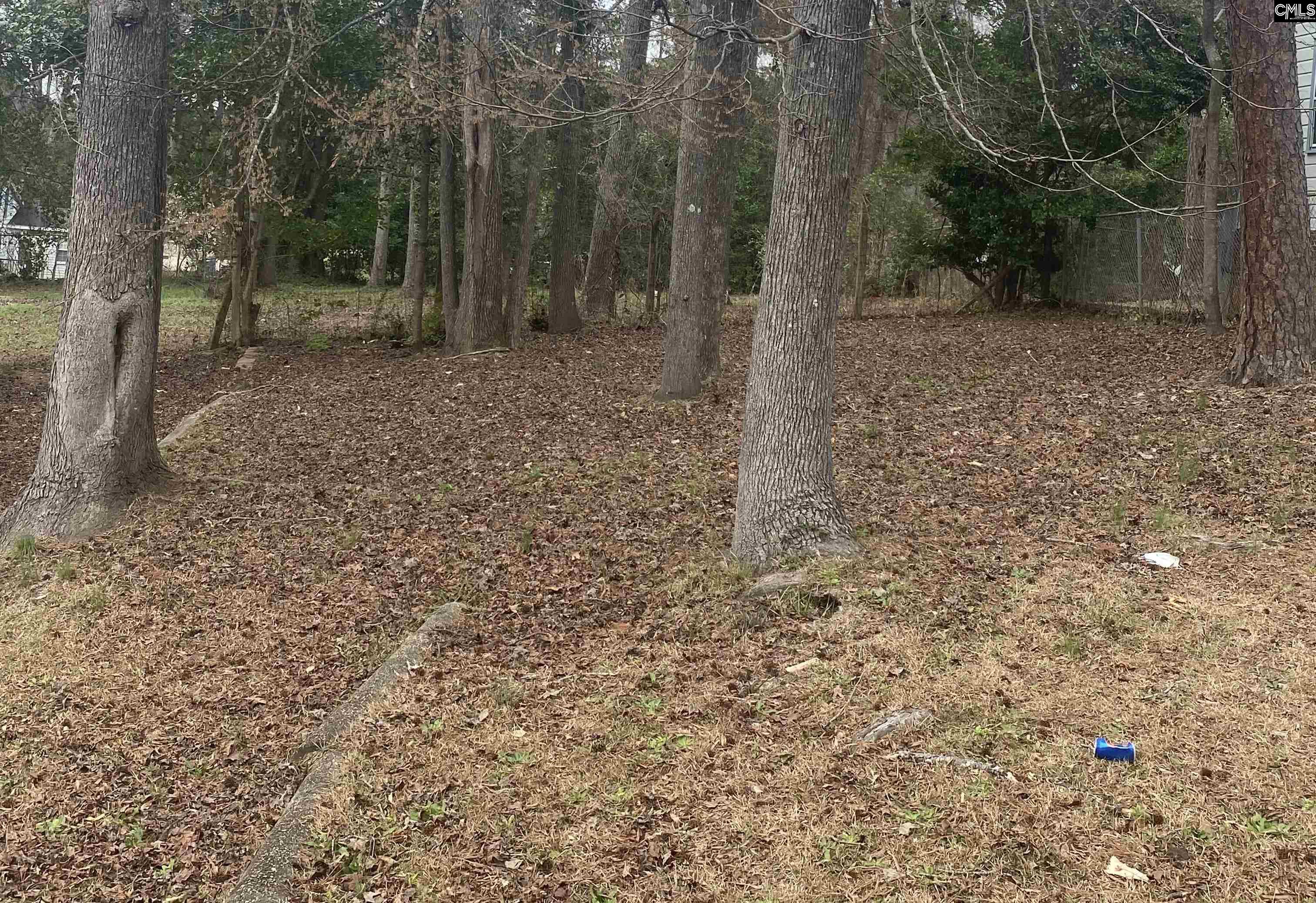 4313 Catherine Avenue Columbia, SC 29203