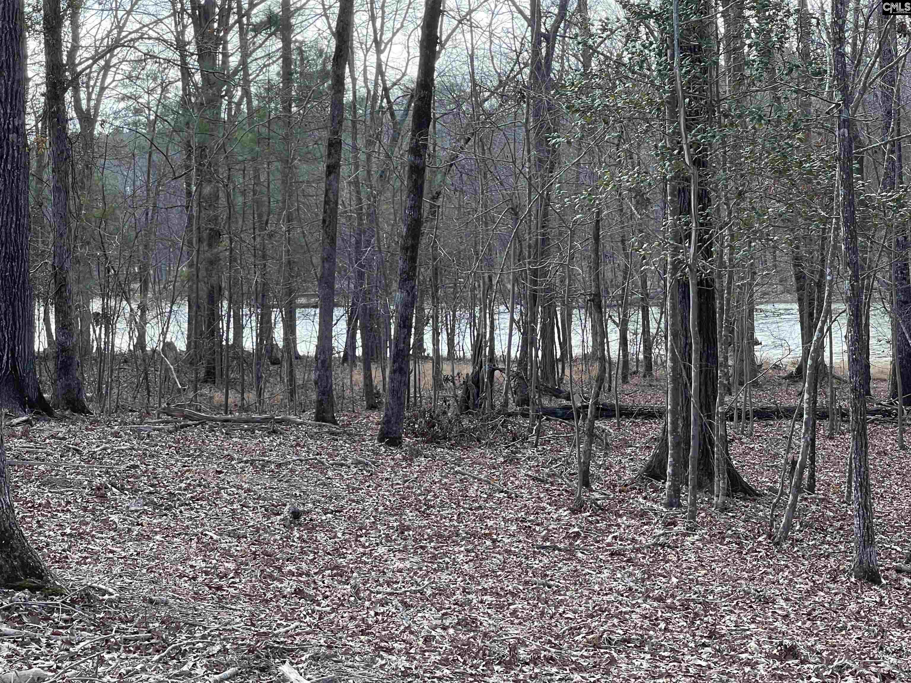 Lot 10 Stewart Landing Prosperity, SC 29127