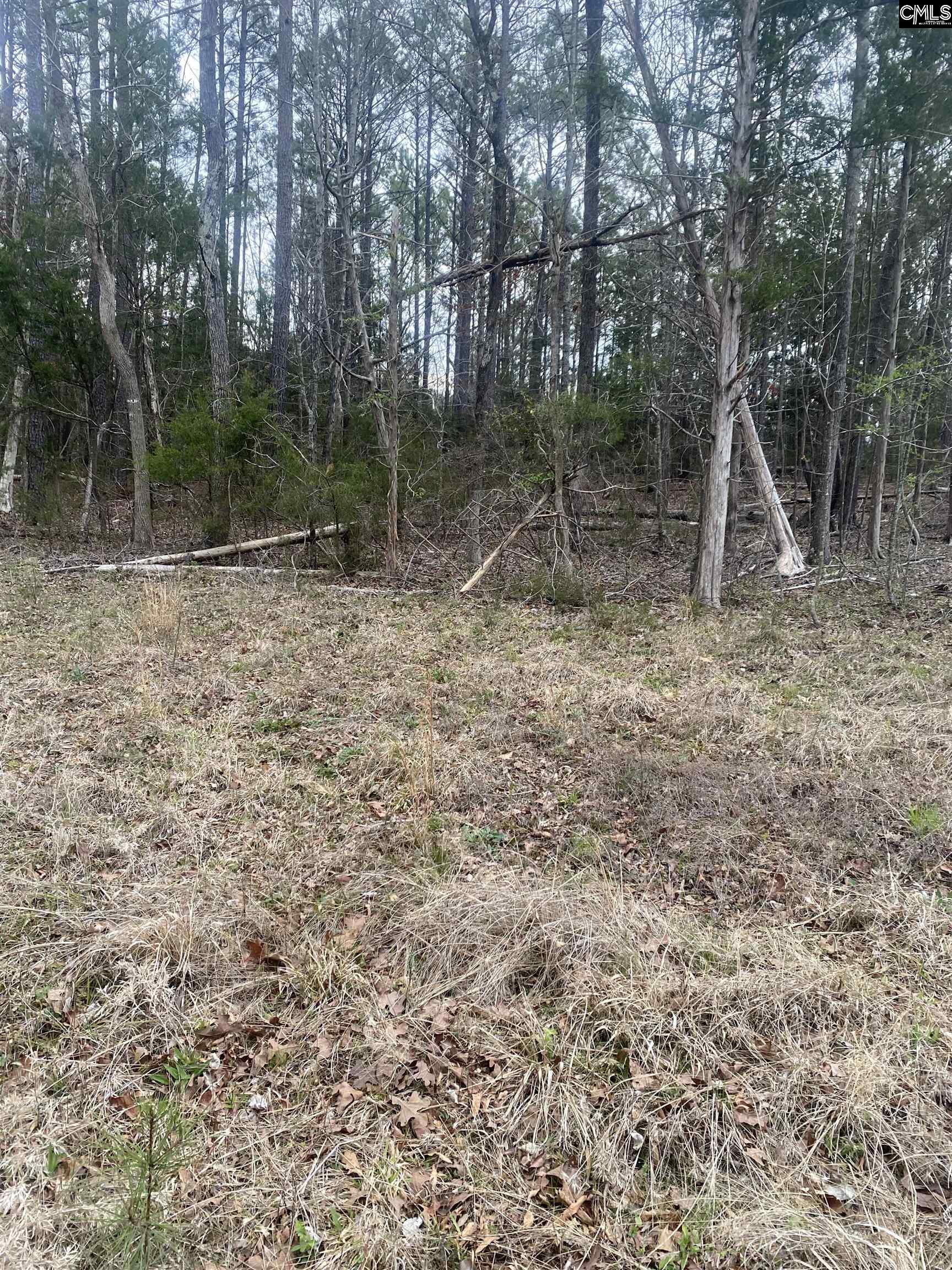 Adger Rd Winnsboro, SC 29180
