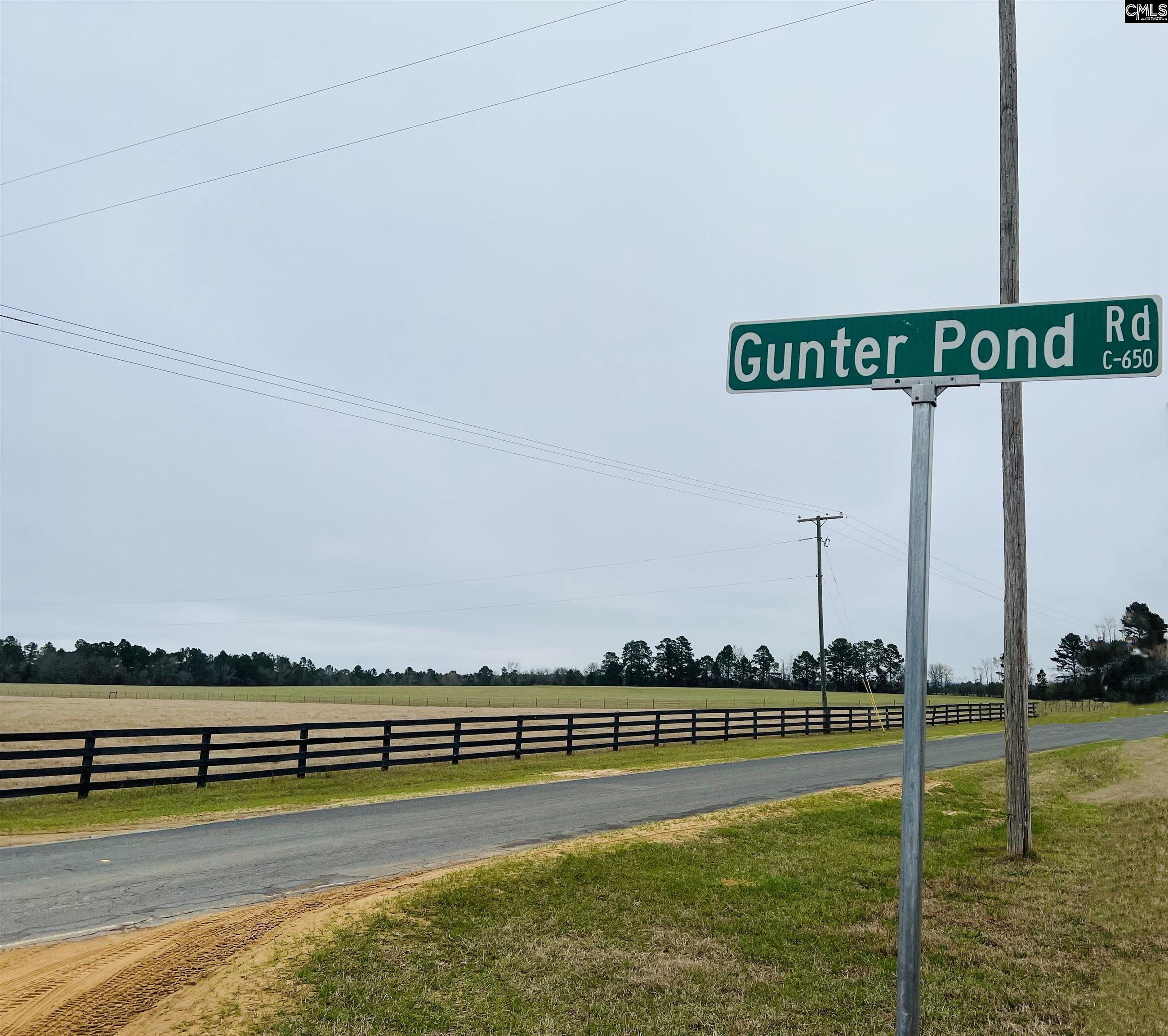 562 Gunter Pond Wagener, SC 29164