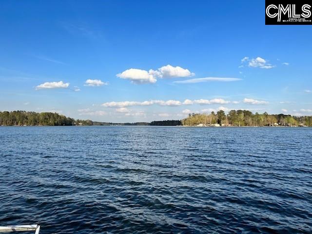 257 Caughman Acres Leesville, SC 29070-6921
