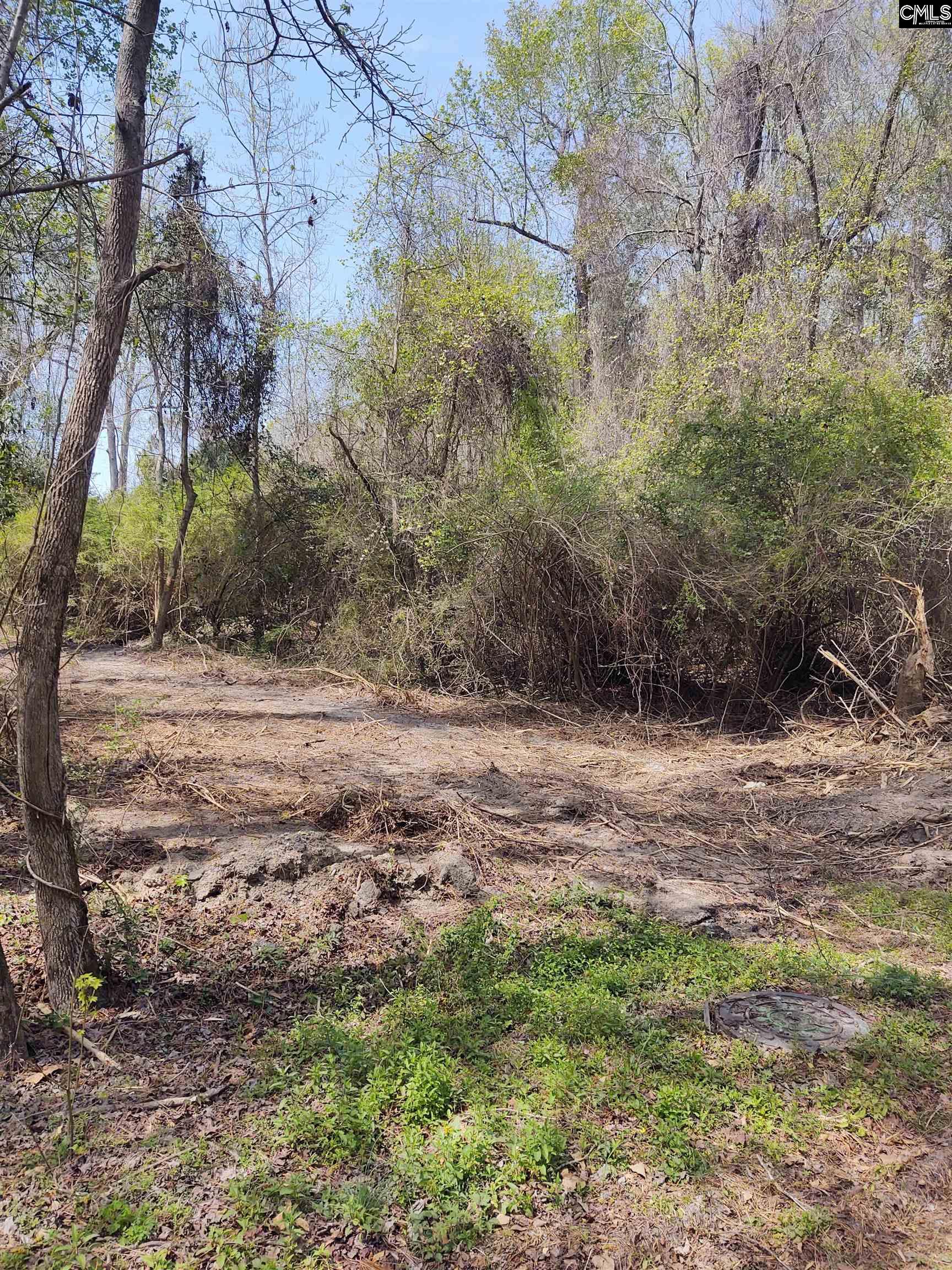 Tbd Sunview Circle Columbia, SC 29209