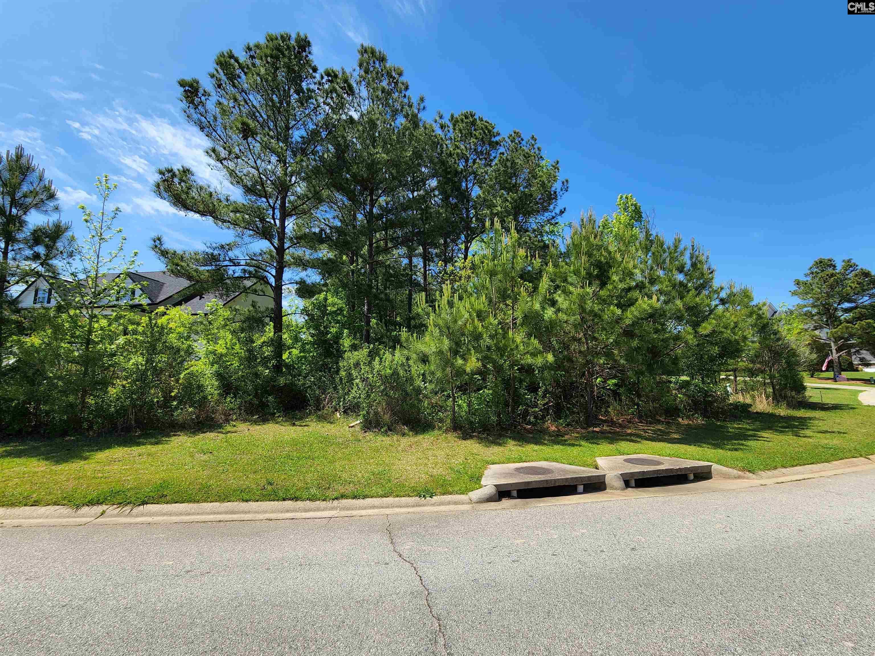 Excellent building lot in desirable Pintail Point; an amenity-rich and architecturally-pleasing neighborhood on the south side of Lake Murray. Topping the list of neighborhood amenities is access to Lake Murray! When you're not out on your boat, enjoy the community clubhouse, pool, walking trails, and tennis courts. Min sf for your new build is 2,200 sf.