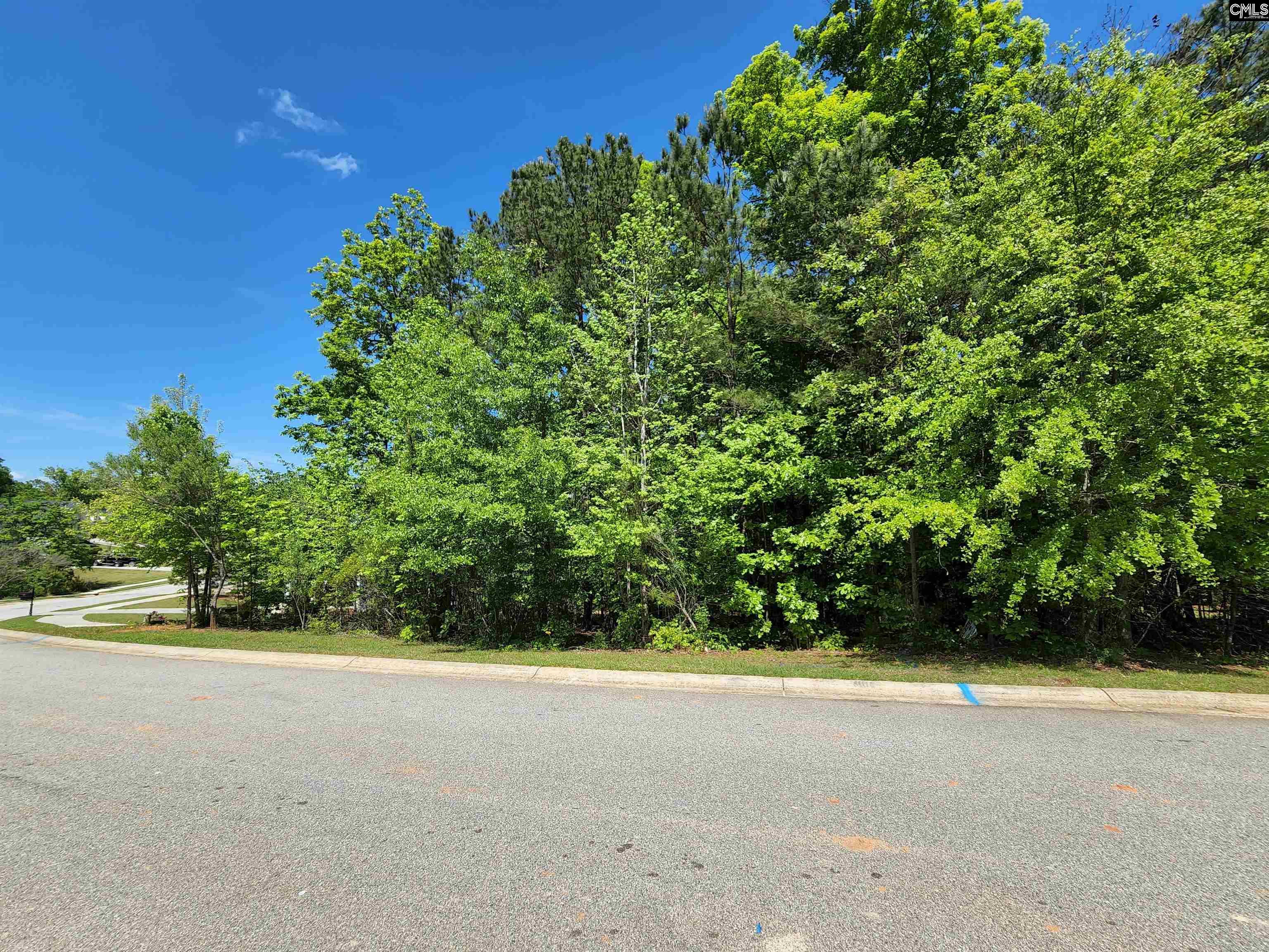 Excellent building lot in desirable Pintail Point; an amenity-rich and architecturally-pleasing neighborhood on the south side of Lake Murray. Topping the list of neighborhood amenities is access to Lake Murray! When you're not out on your boat, enjoy the community clubhouse, pool, walking trails, and tennis courts. Min sf for your new build is 2,200 sf.