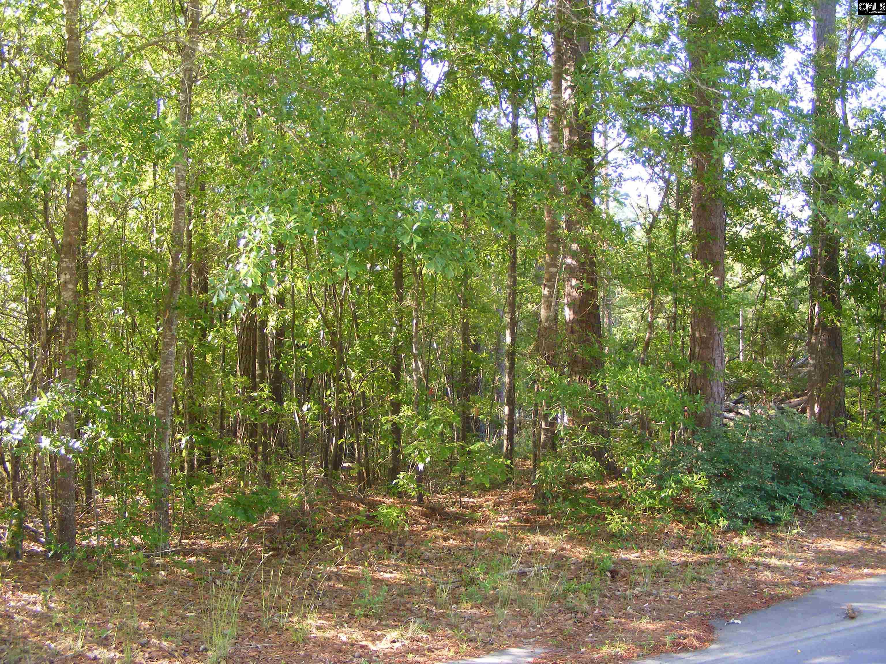 00 Pine Needle Circle Unit A Gaston, SC 29053