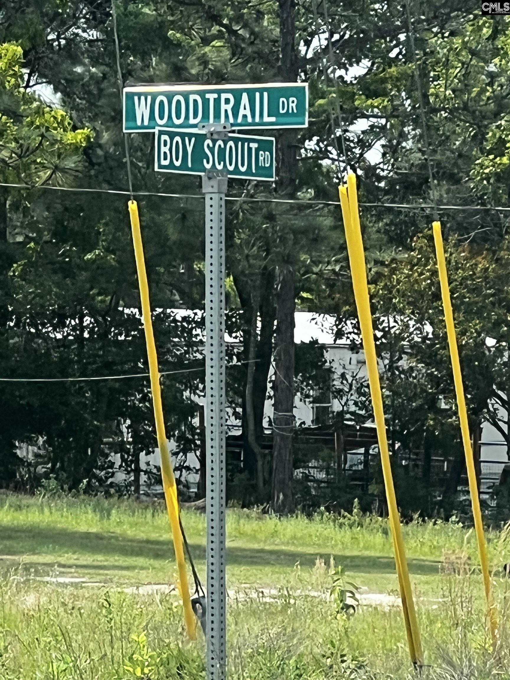 Gaston SC Real Estate Boyscout Road Gaston SC 29053 MLS 540104