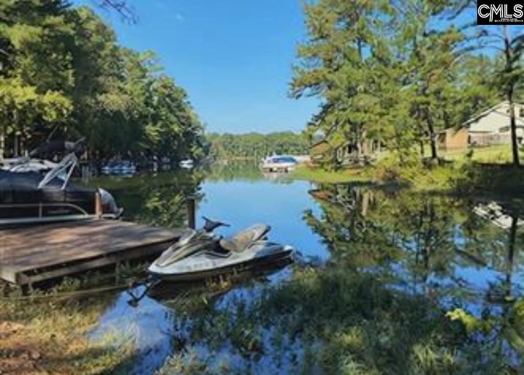 408 Newberry Drive Chapin, SC 29036