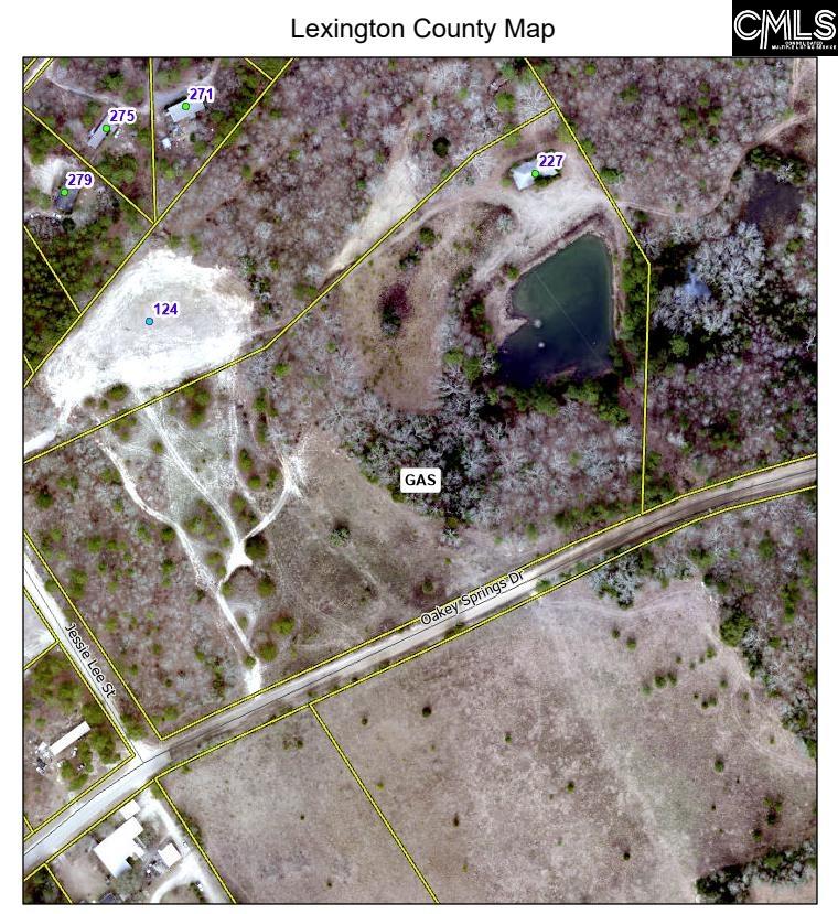227 Oakey Spring Gaston, SC 29053