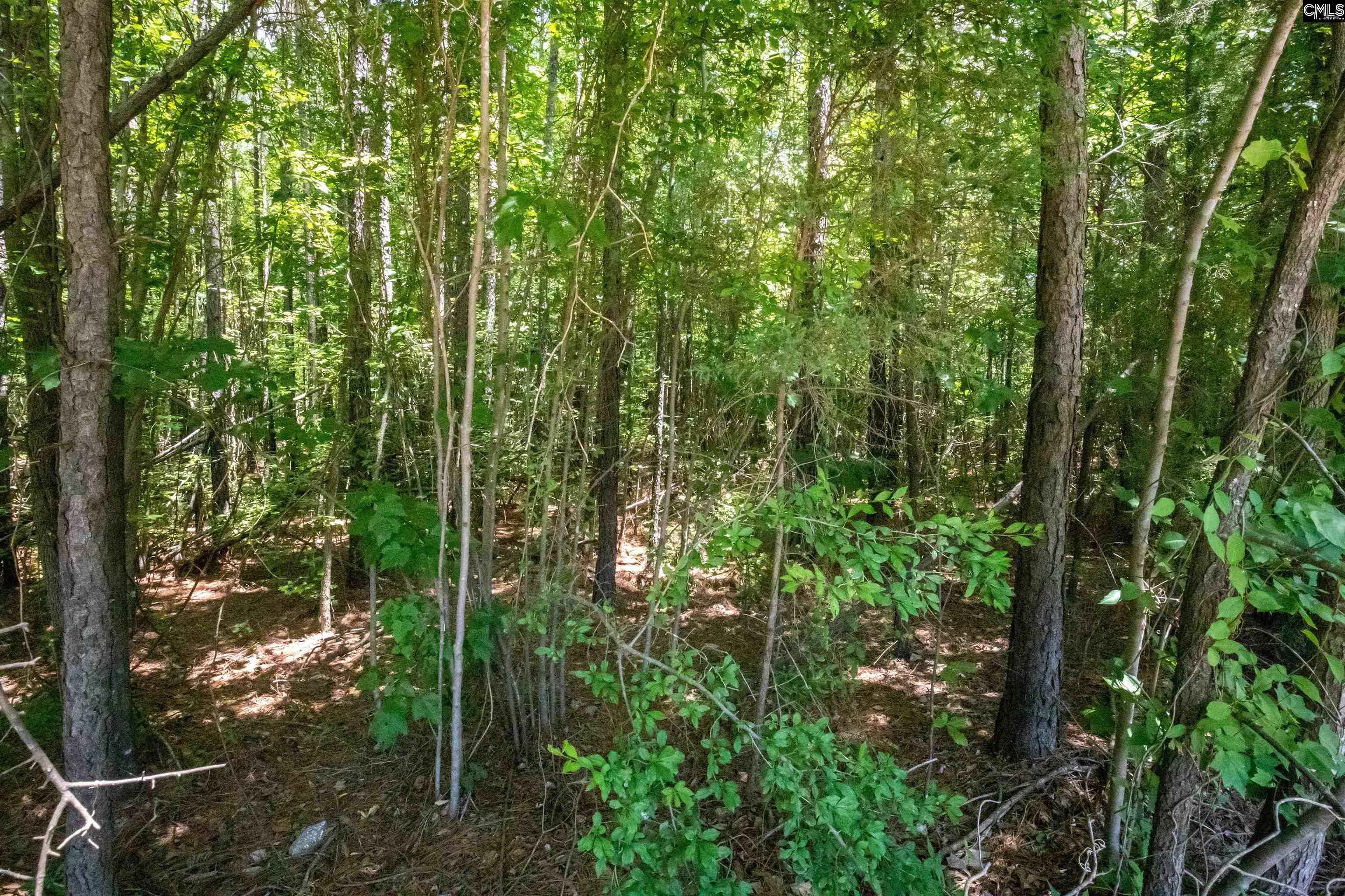 2049 Dobson Road Blythewood, SC 29016