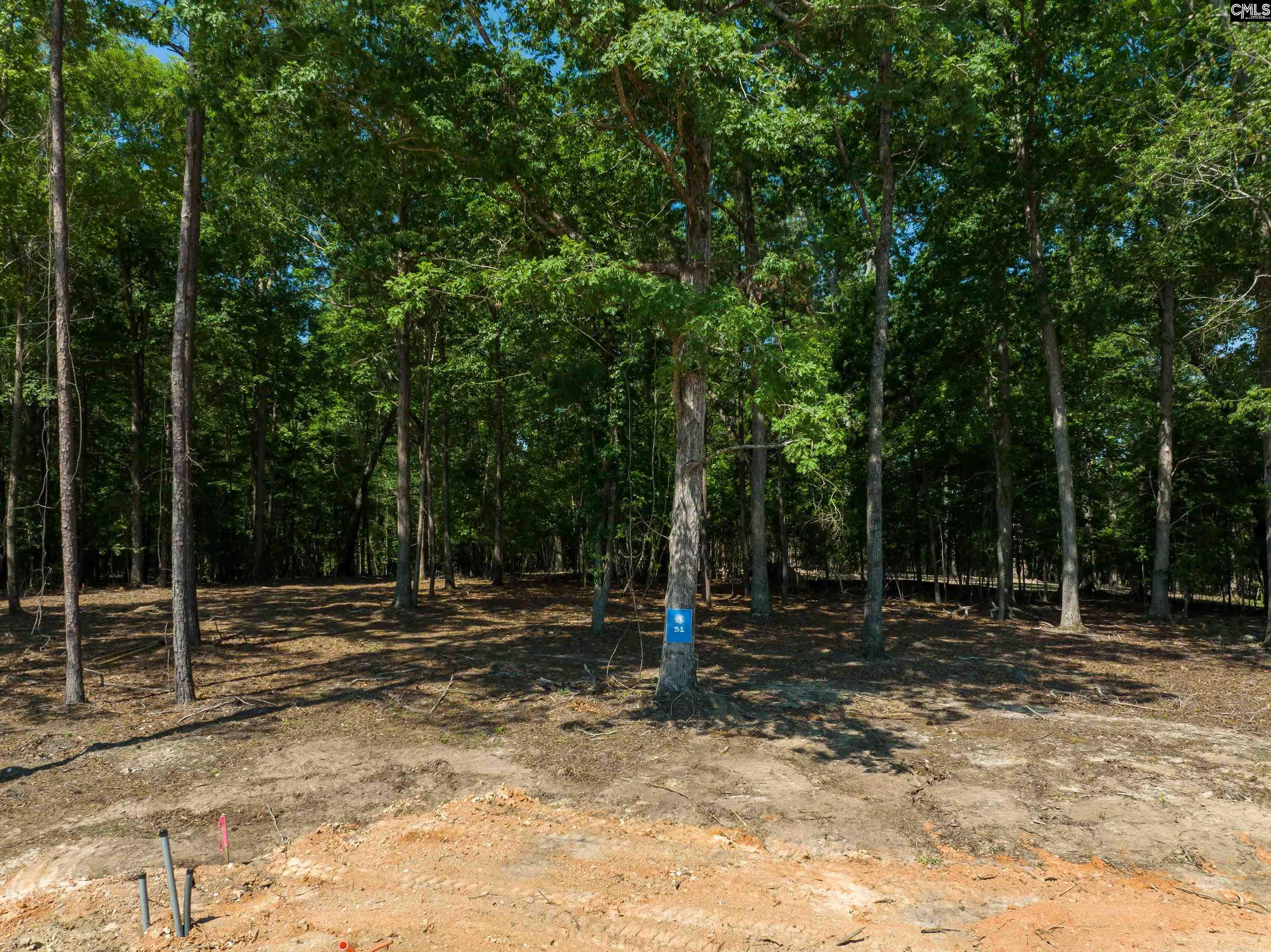 Lot 51 Shoreview Drive Unit Lot 51 Prosperity, SC 29127