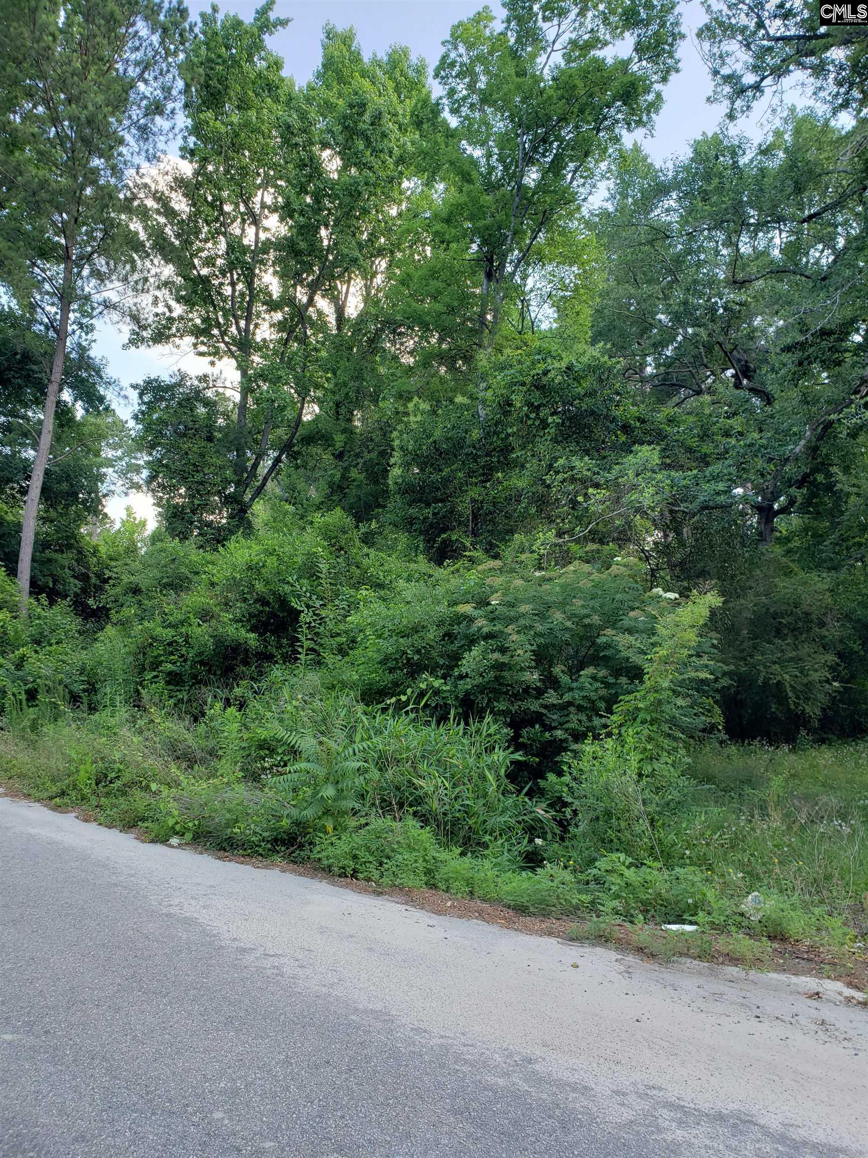 824 Vernon Street Columbia, SC 29203
