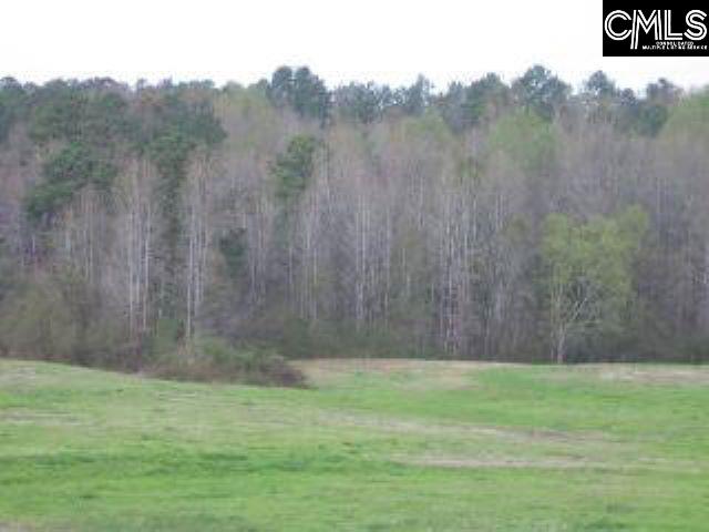 Darby Ambrose Lane Unit #3 Lexington, SC 29072