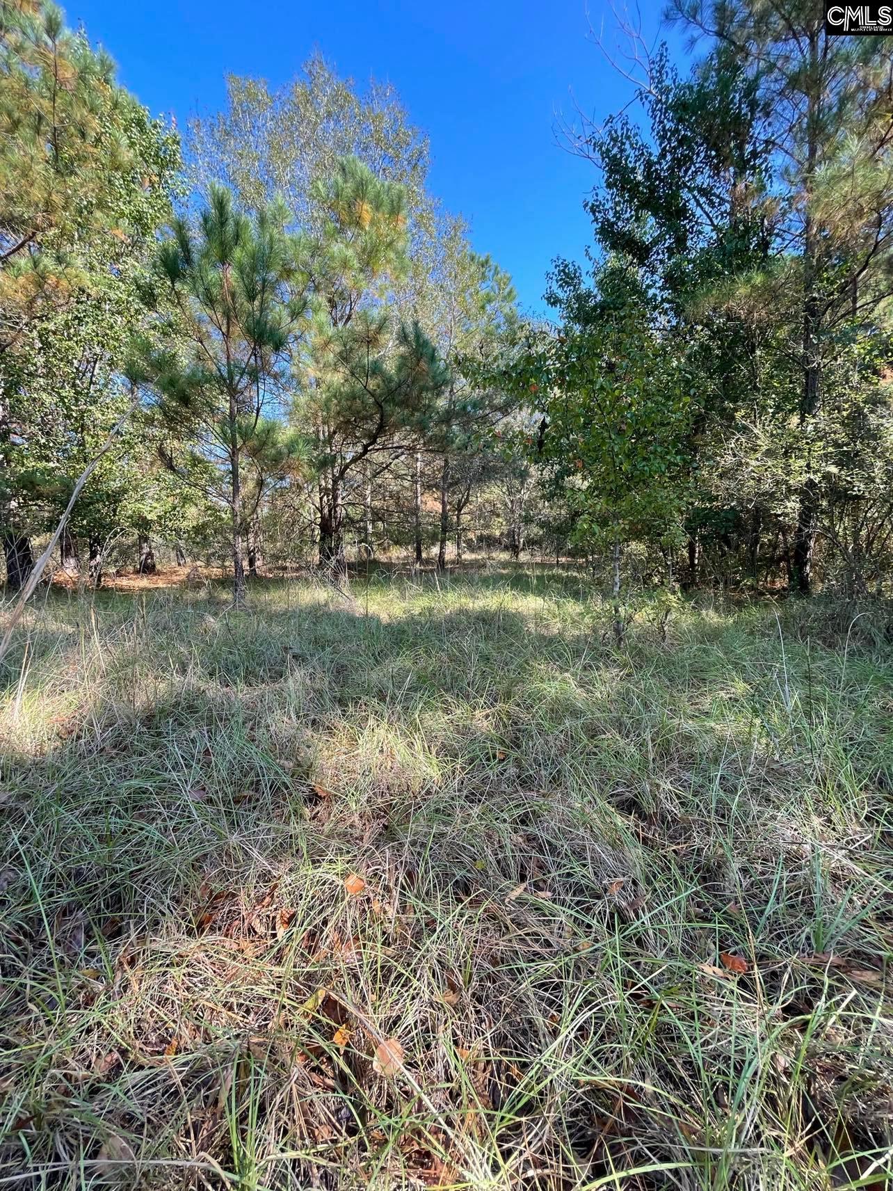 110 Willow Creek, Lugoff, South Carolina for 59,900