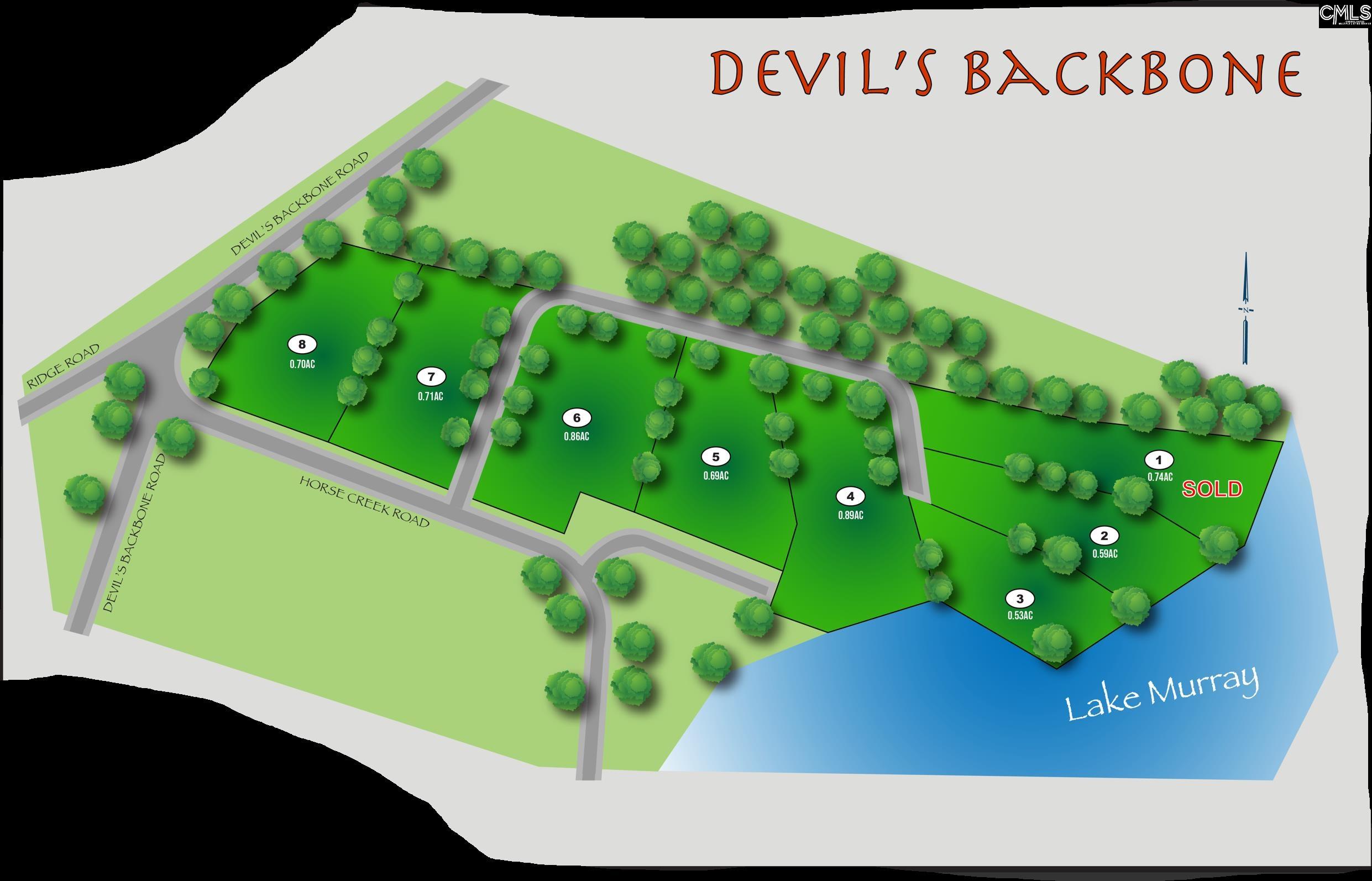 Devils Backbone Road #5, Leesville, South Carolina image 2