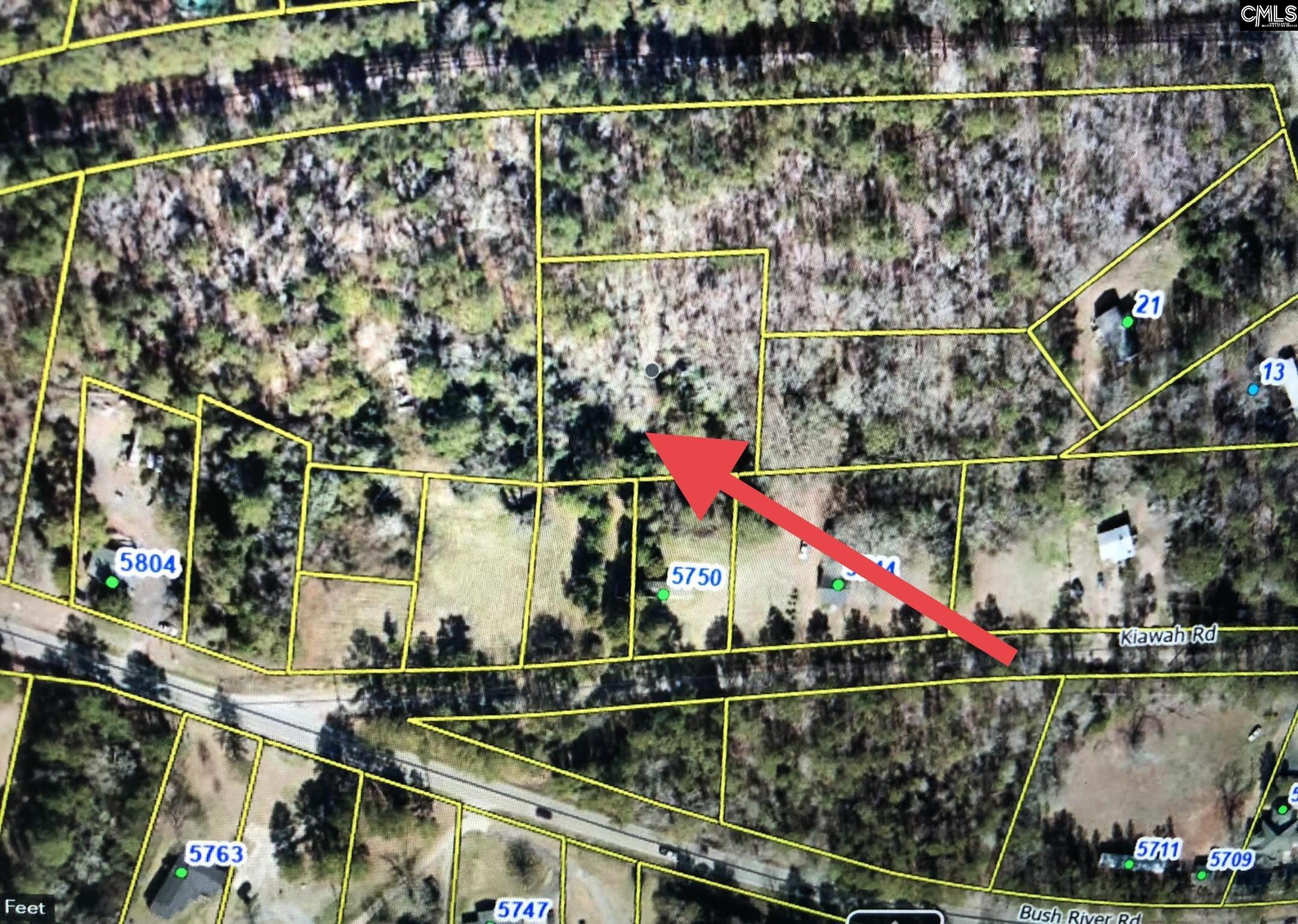 Kiawah Irmo, SC 29212