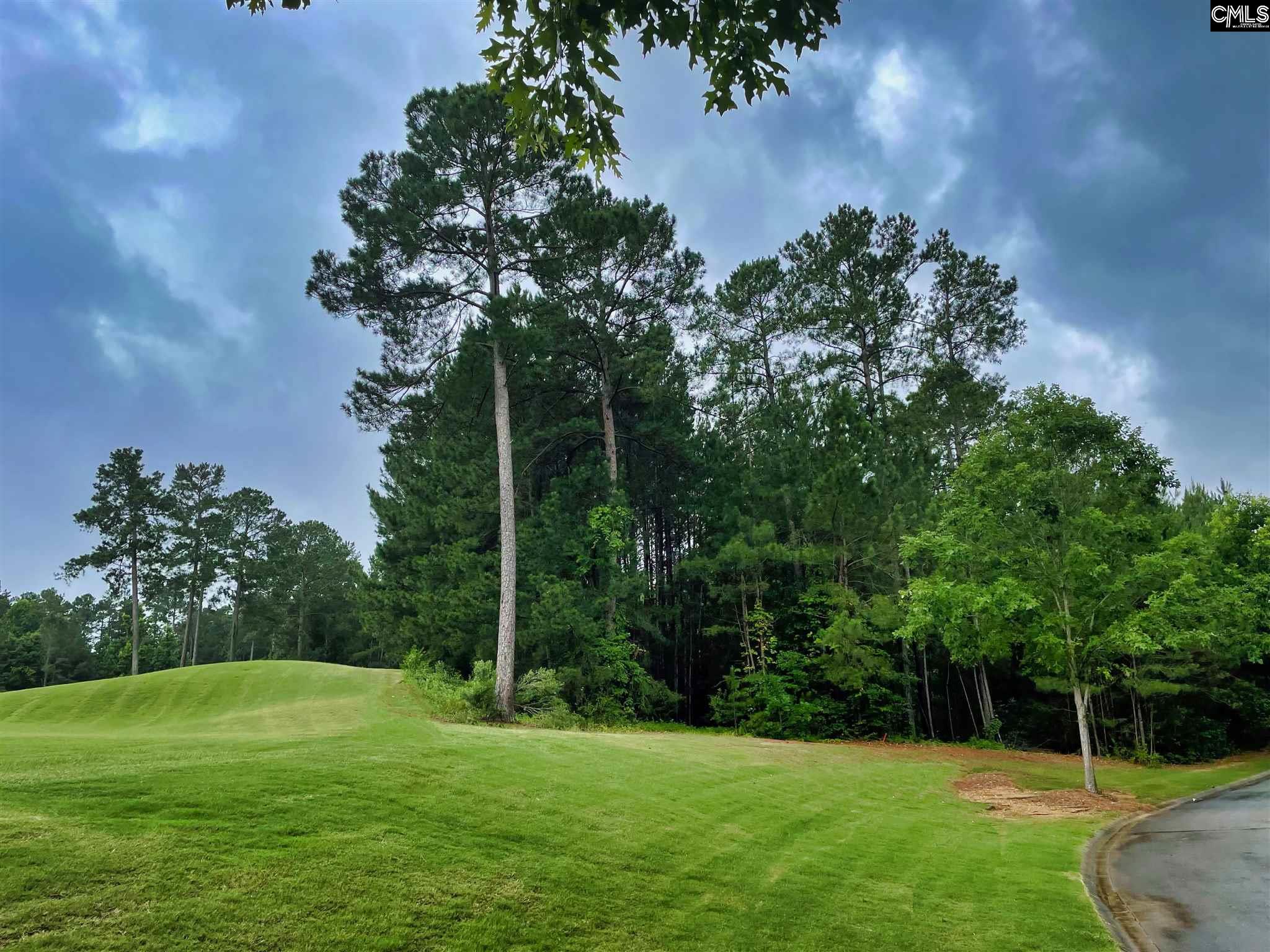378 Woodlander Drive Unit #42 Blythewood, SC 29016-7621