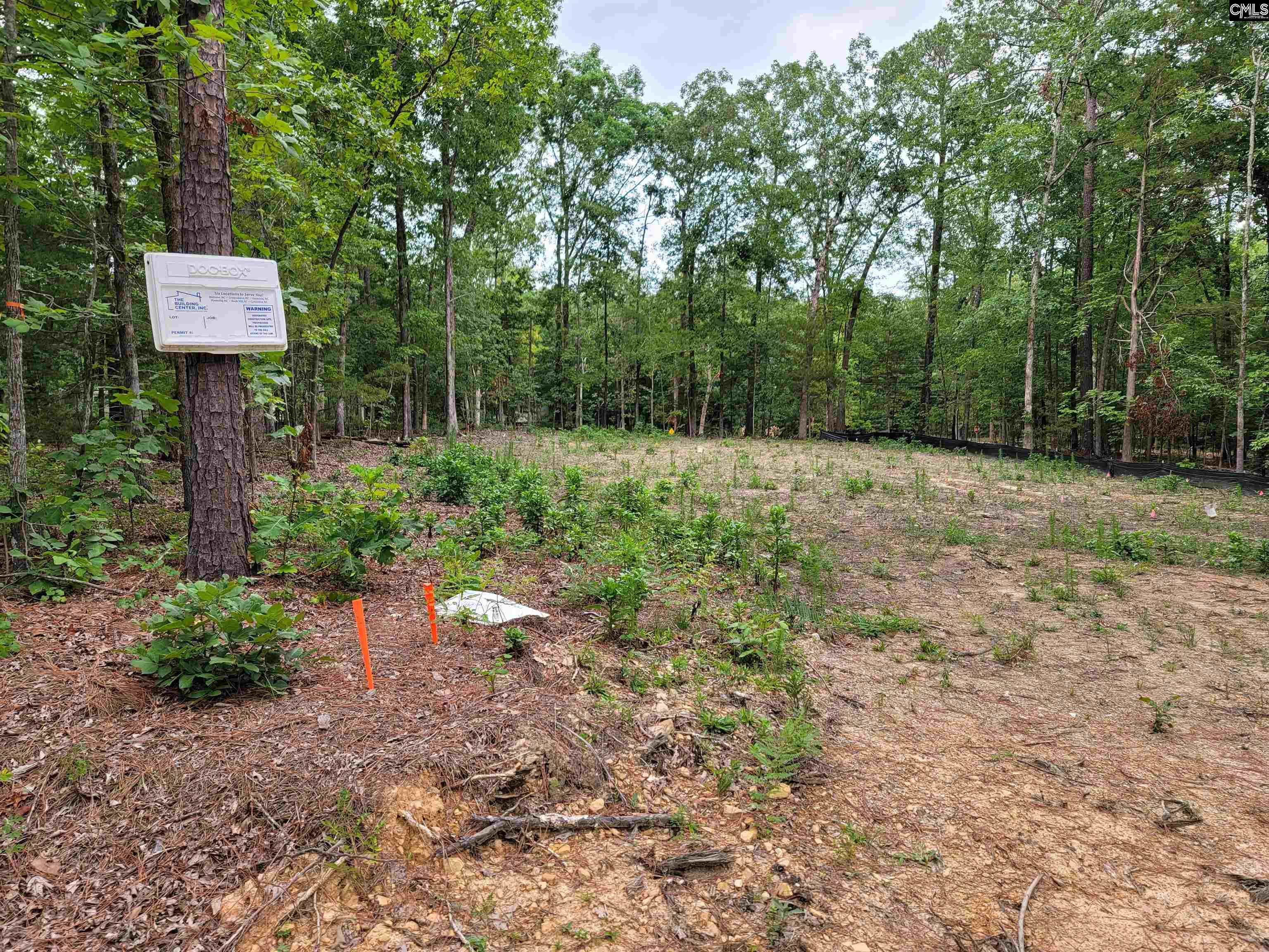 112 Pembroke Lane Chapin, SC 29036