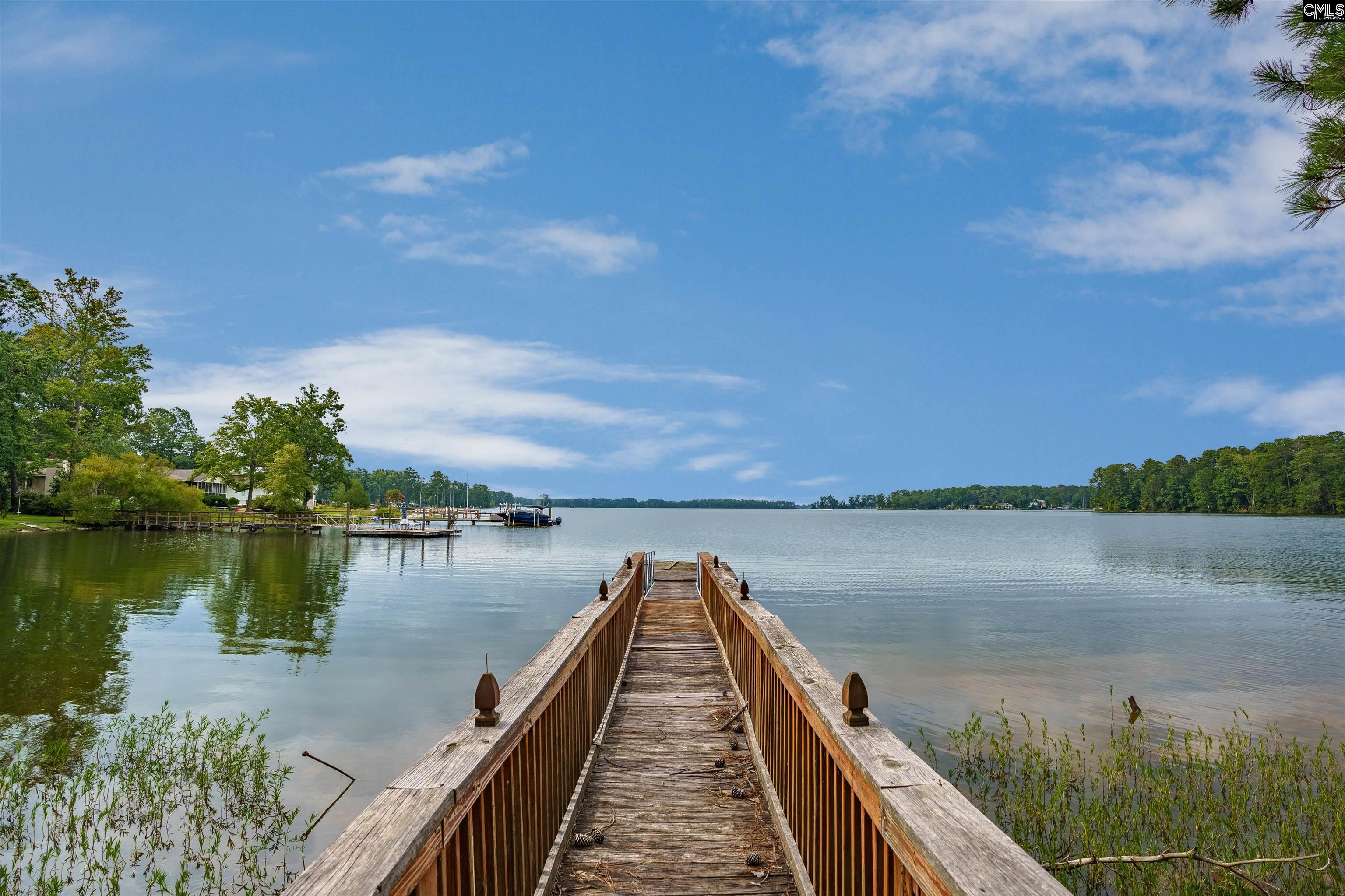 115 Lake Point Dr Chapin, SC 29036