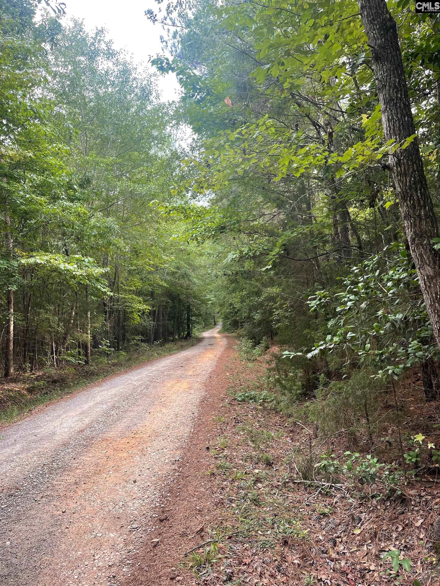 S/s Langford Road Unit #9 Blythewood, SC 29016
