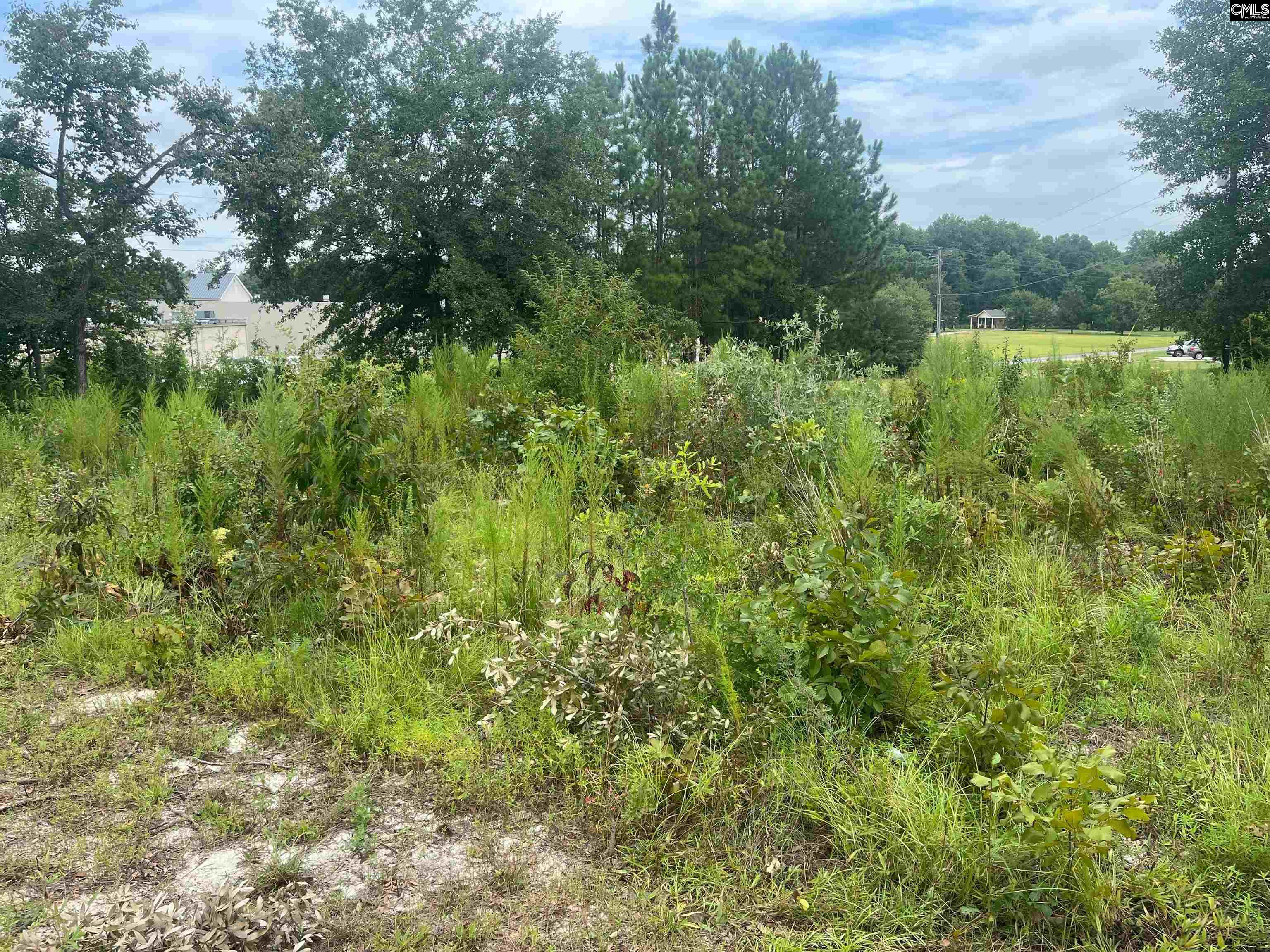 1644a Pine Street West Columbia, SC 29172