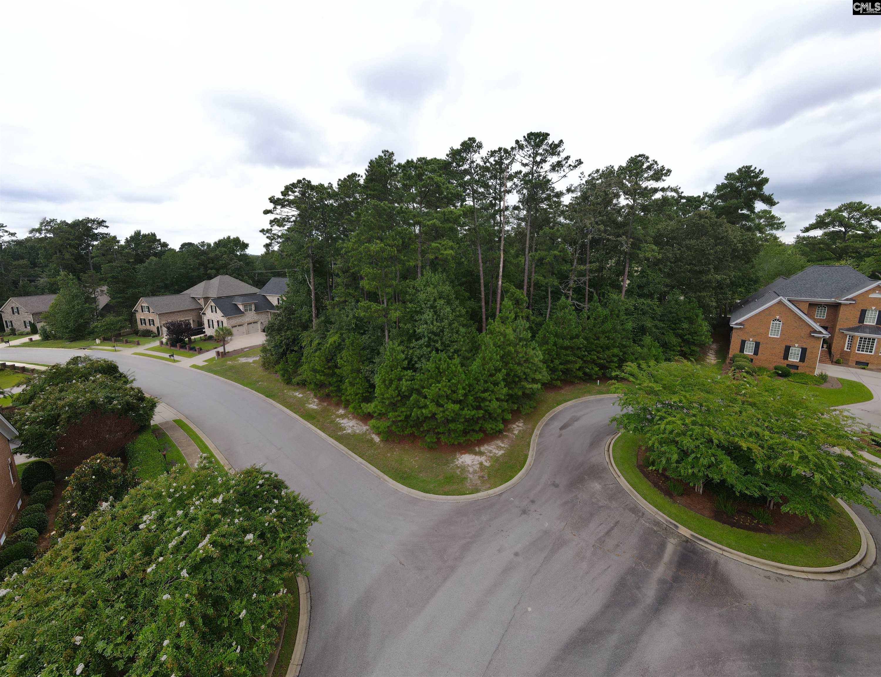 Elgin SC Real Estate 249 Upper Lake lot 10 Elgin SC 29045 MLS 548290