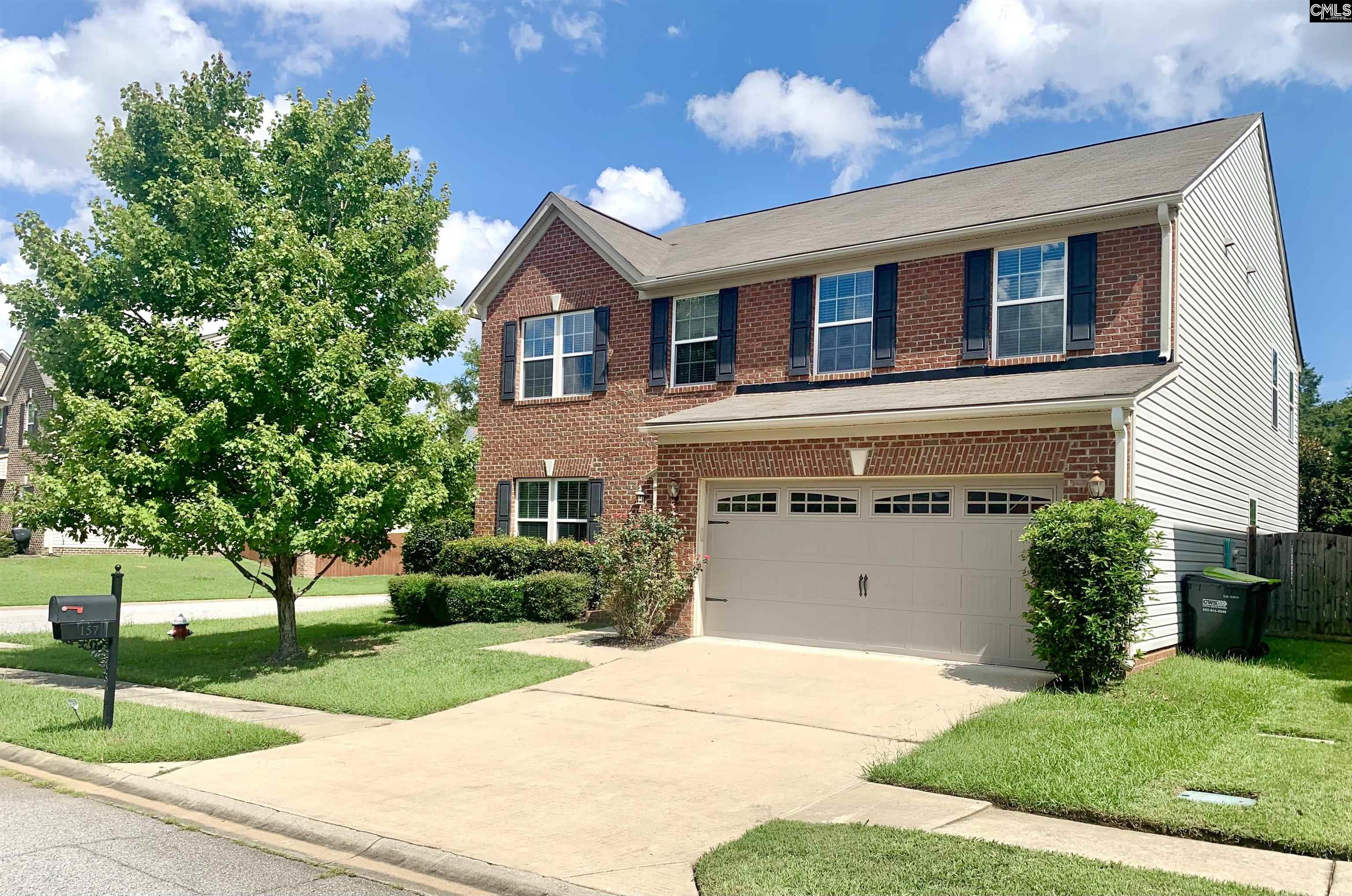 157 Palm Street Chapin, SC 29036
