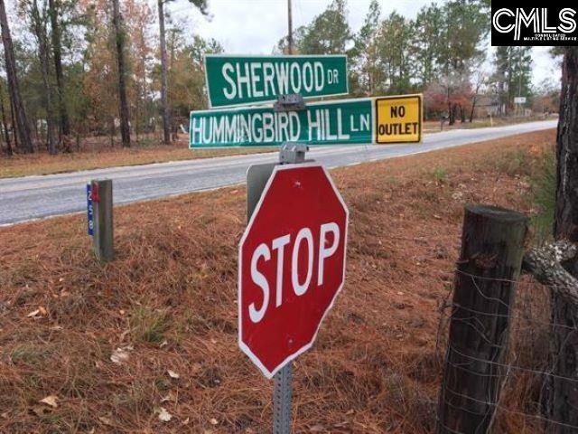 258 Sherwood Drive Lexington, SC 29073