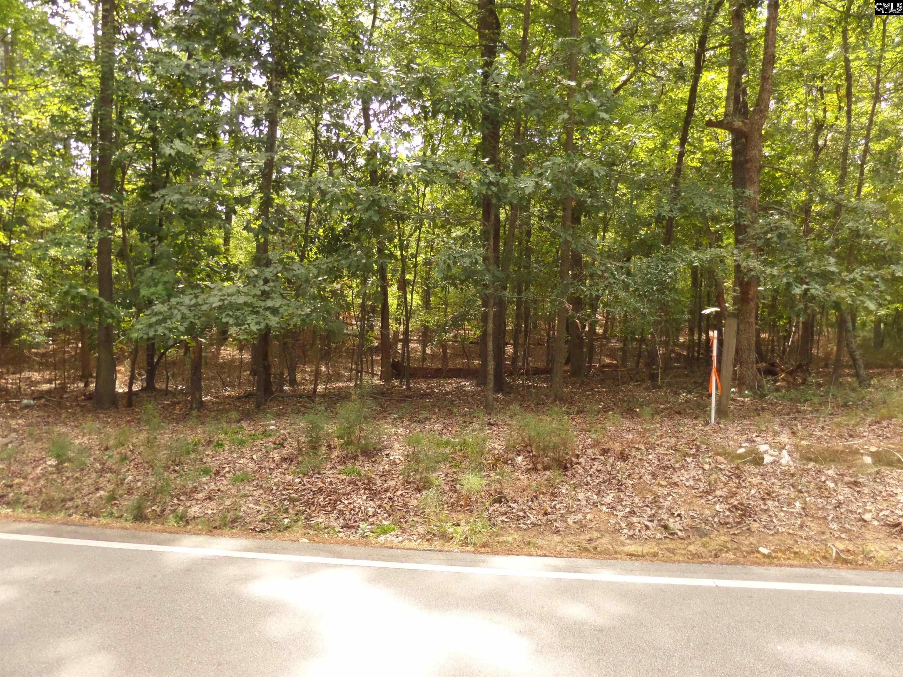 Old Road UNIT #3 Chapin, SC 29036