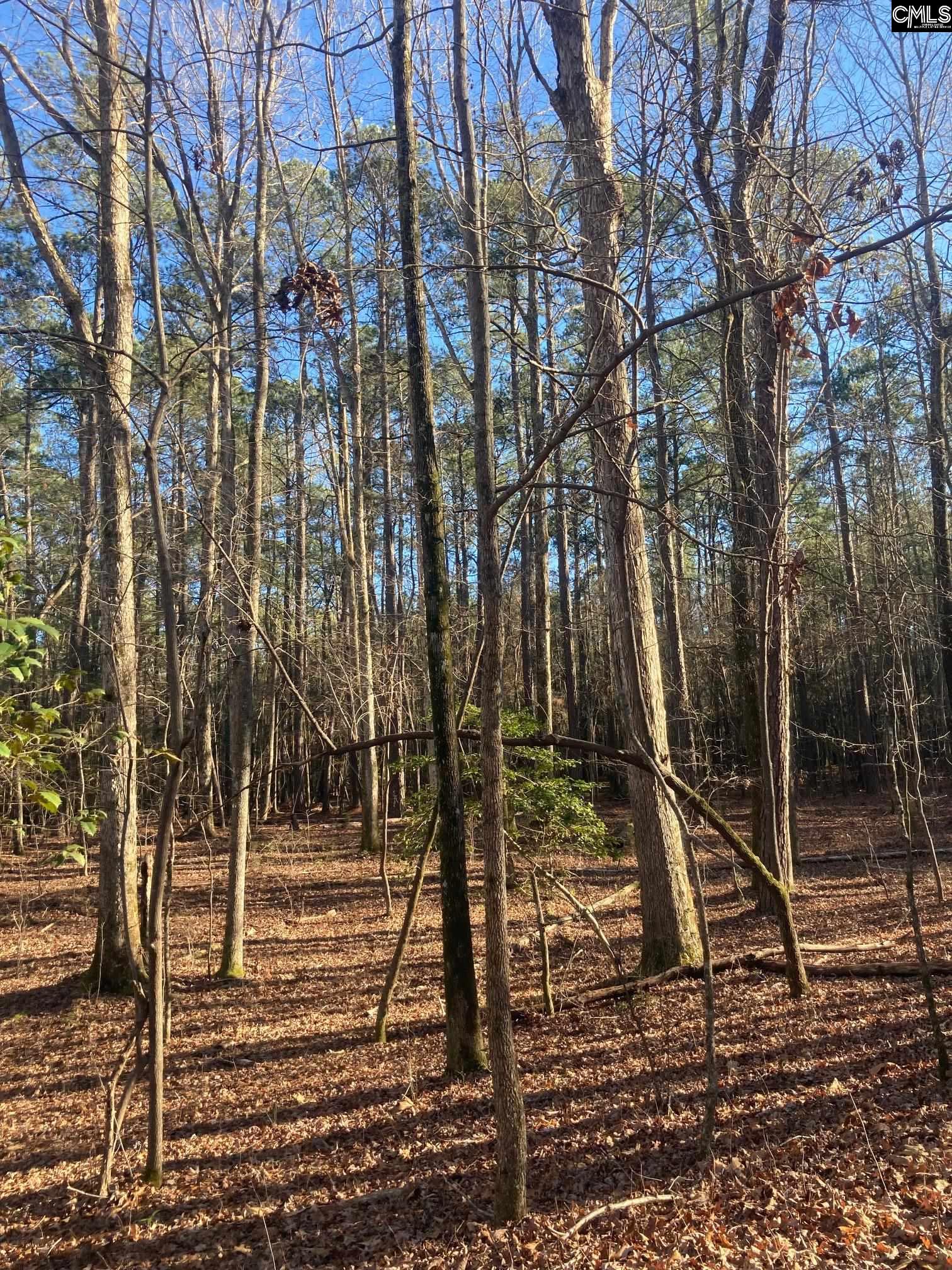 Church Prosperity, SC 29127