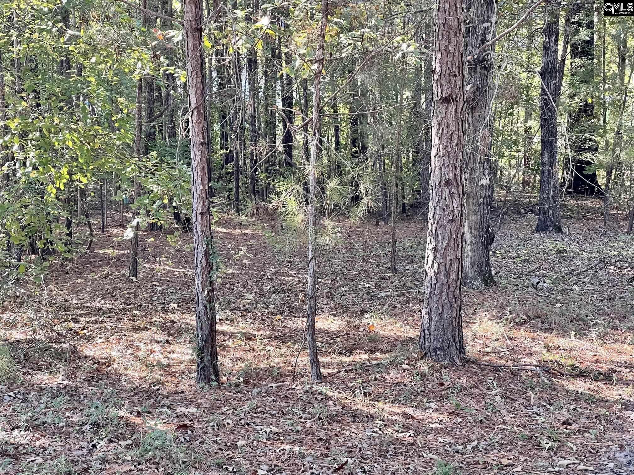 Land for Sale in Elgin SC 29045 Page 4