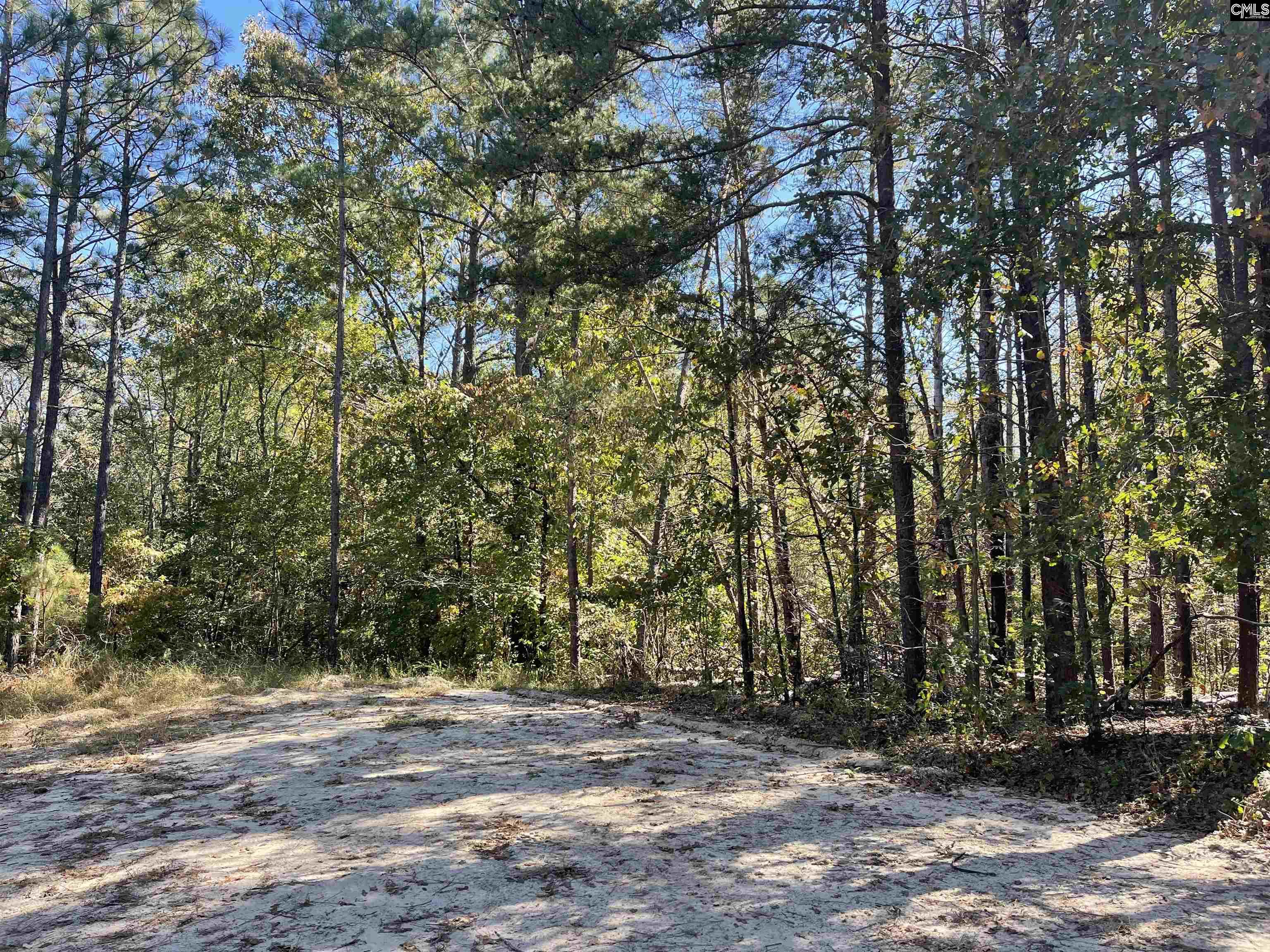 1809 Louise Court Lugoff, SC 29078