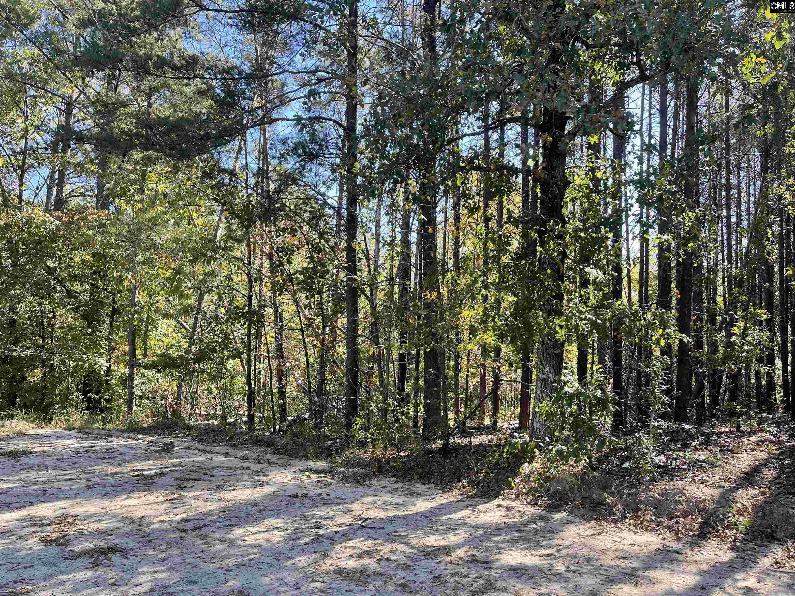1809 Louise Court Lugoff, SC 29078
