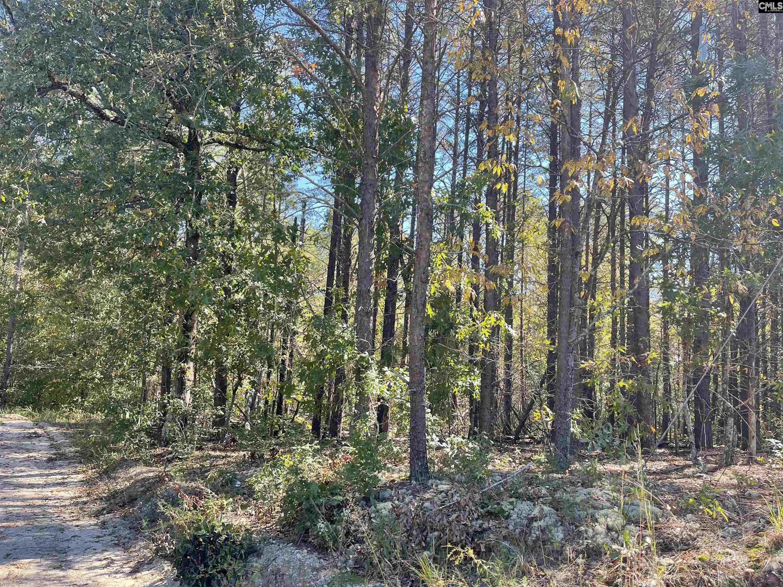1809 Louise Court Lugoff, SC 29078