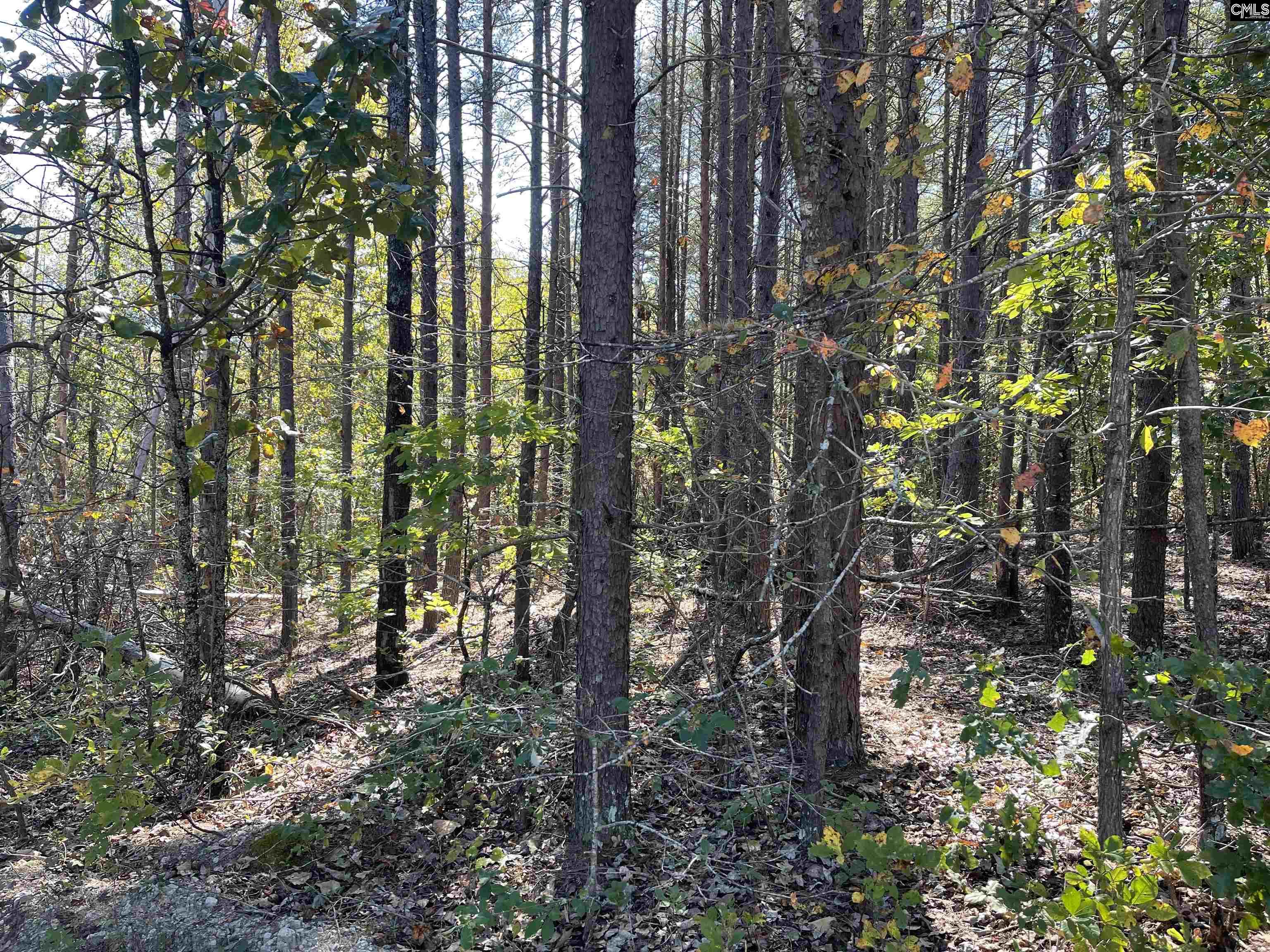 1809 Louise Court Lugoff, SC 29078