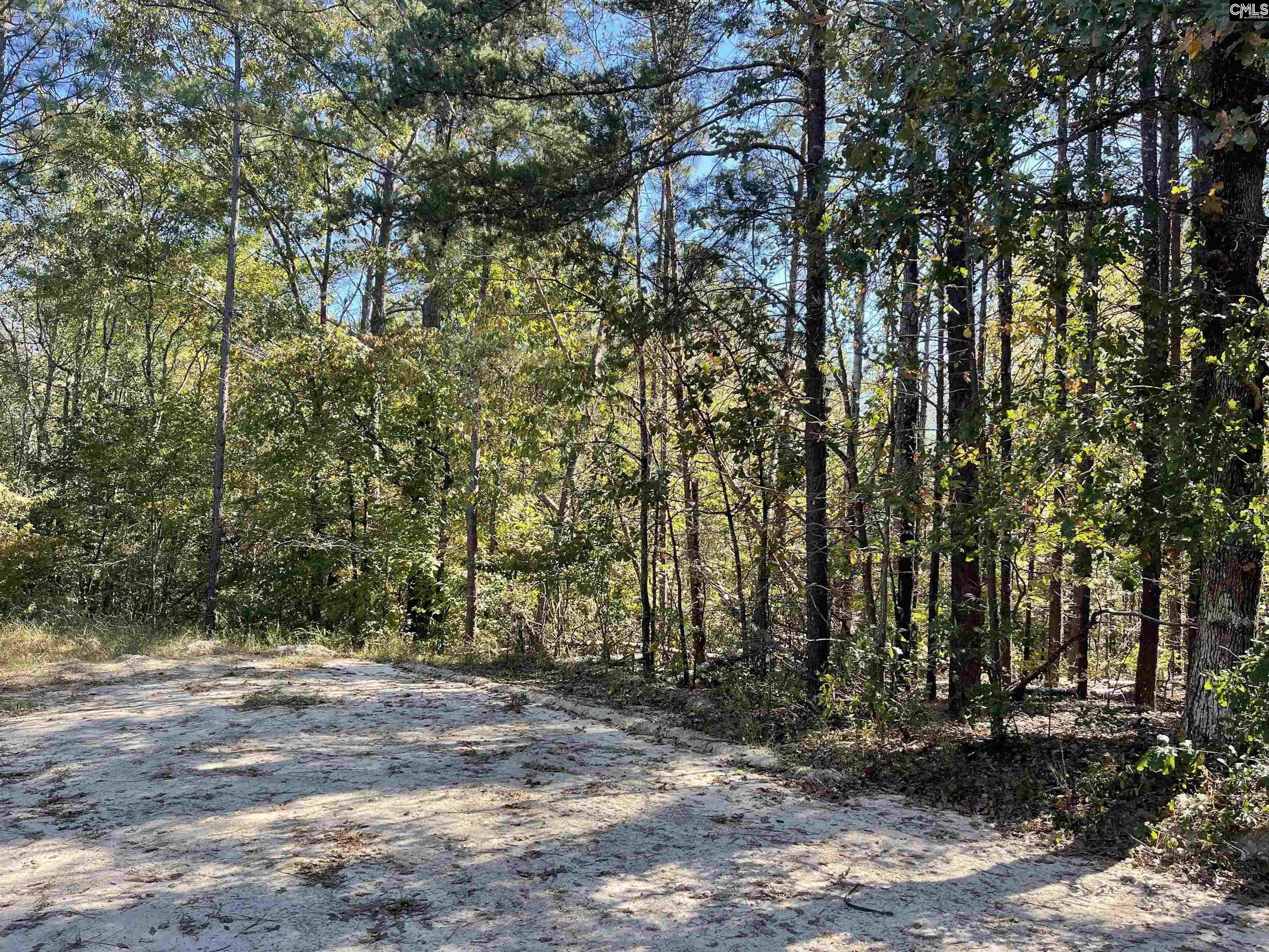 1809 Louise Court Lugoff, SC 29078