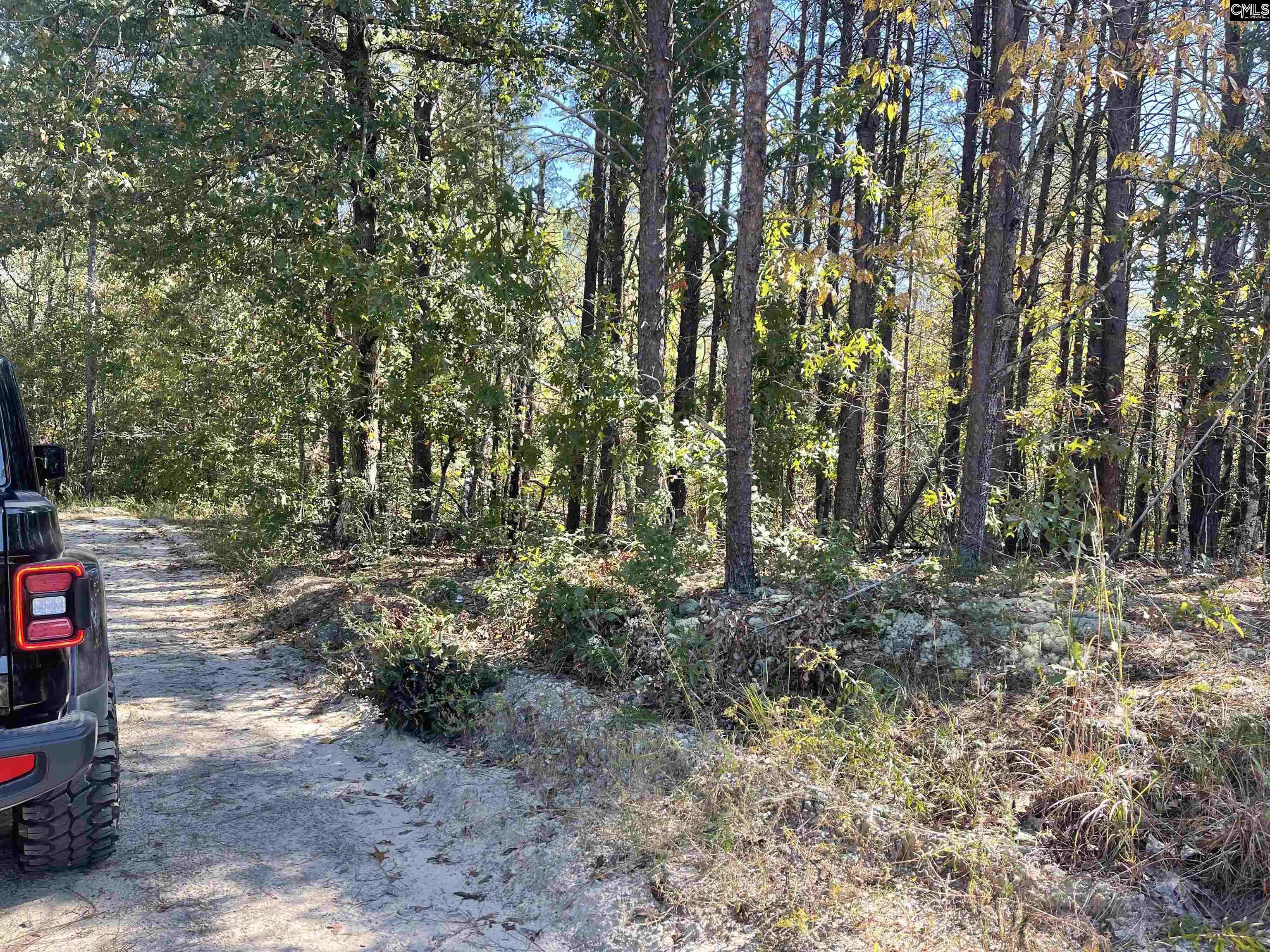 1809 Louise Court Lugoff, SC 29078